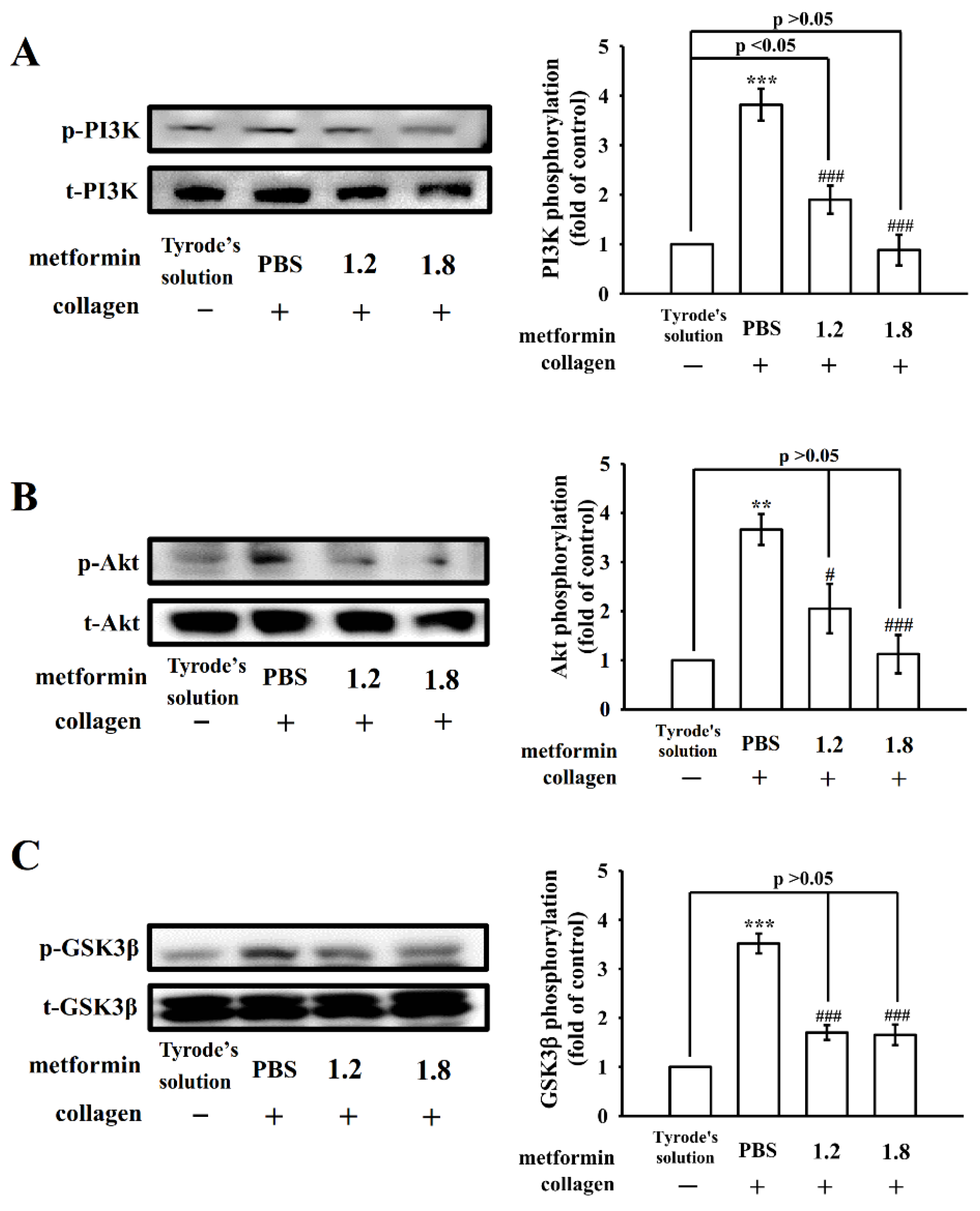 Applsci 12 07426 g005 Applsci 12 07426 g005