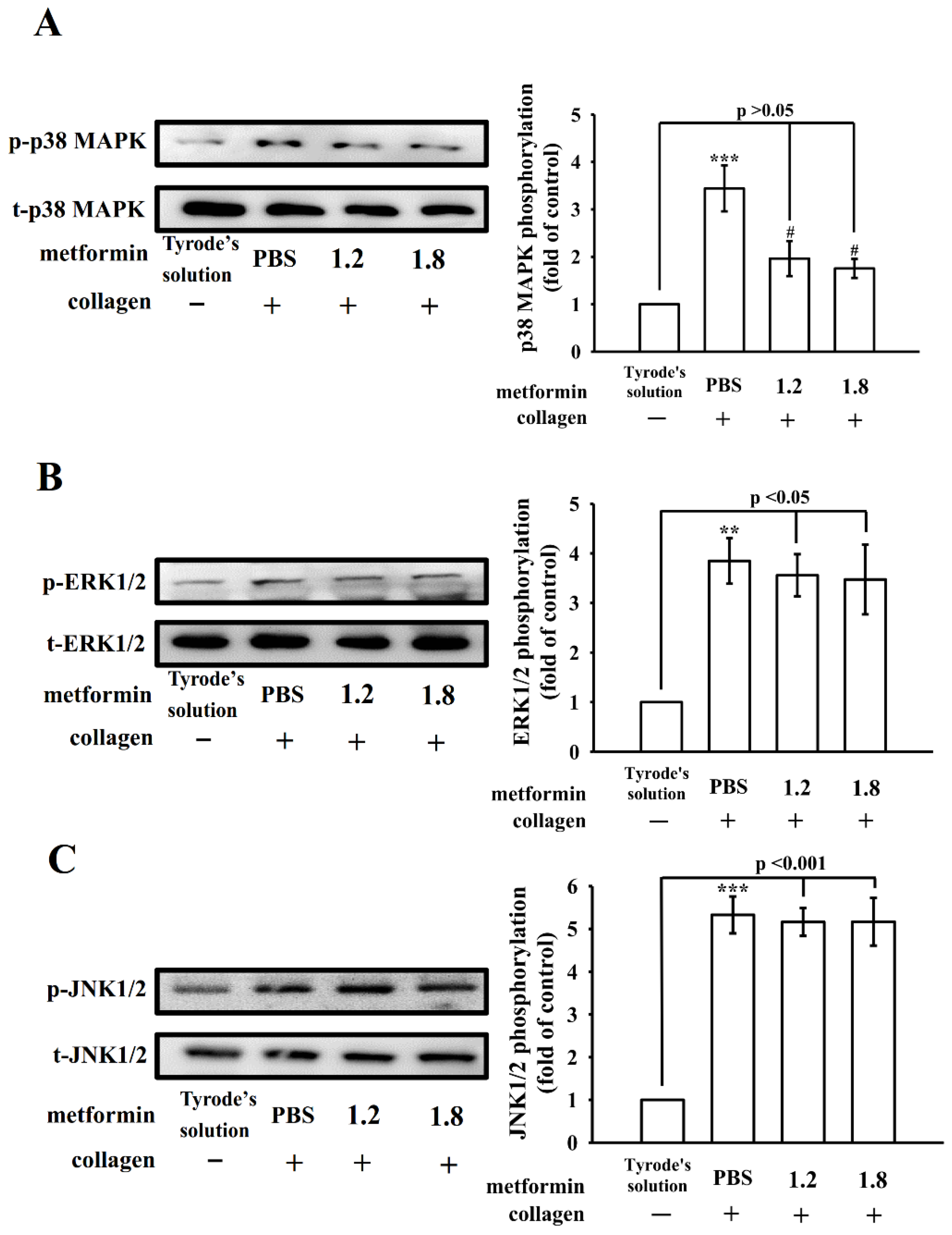 Applsci 12 07426 g006 Applsci 12 07426 g006