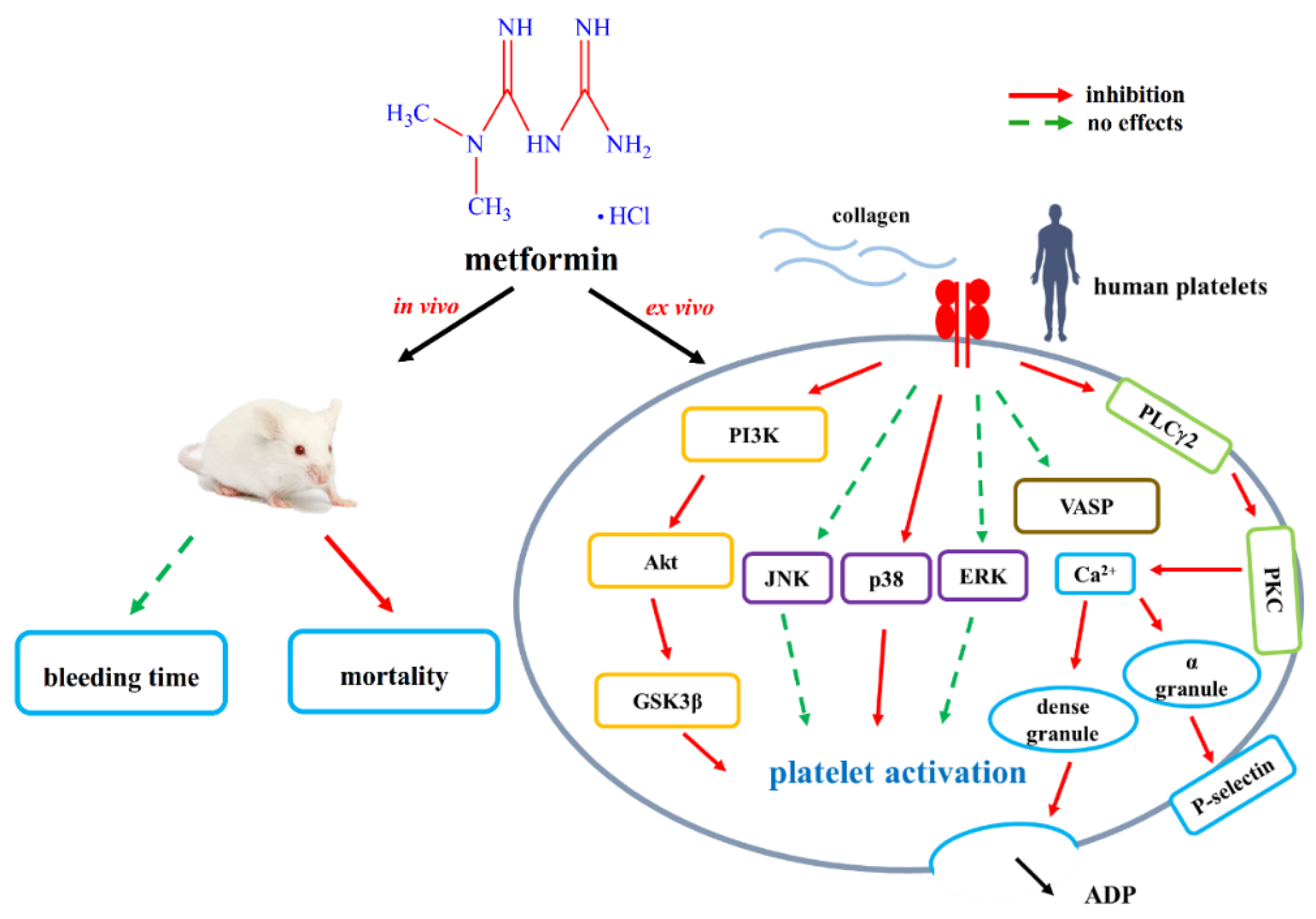 Applsci 12 07426 g009 Applsci 12 07426 g009