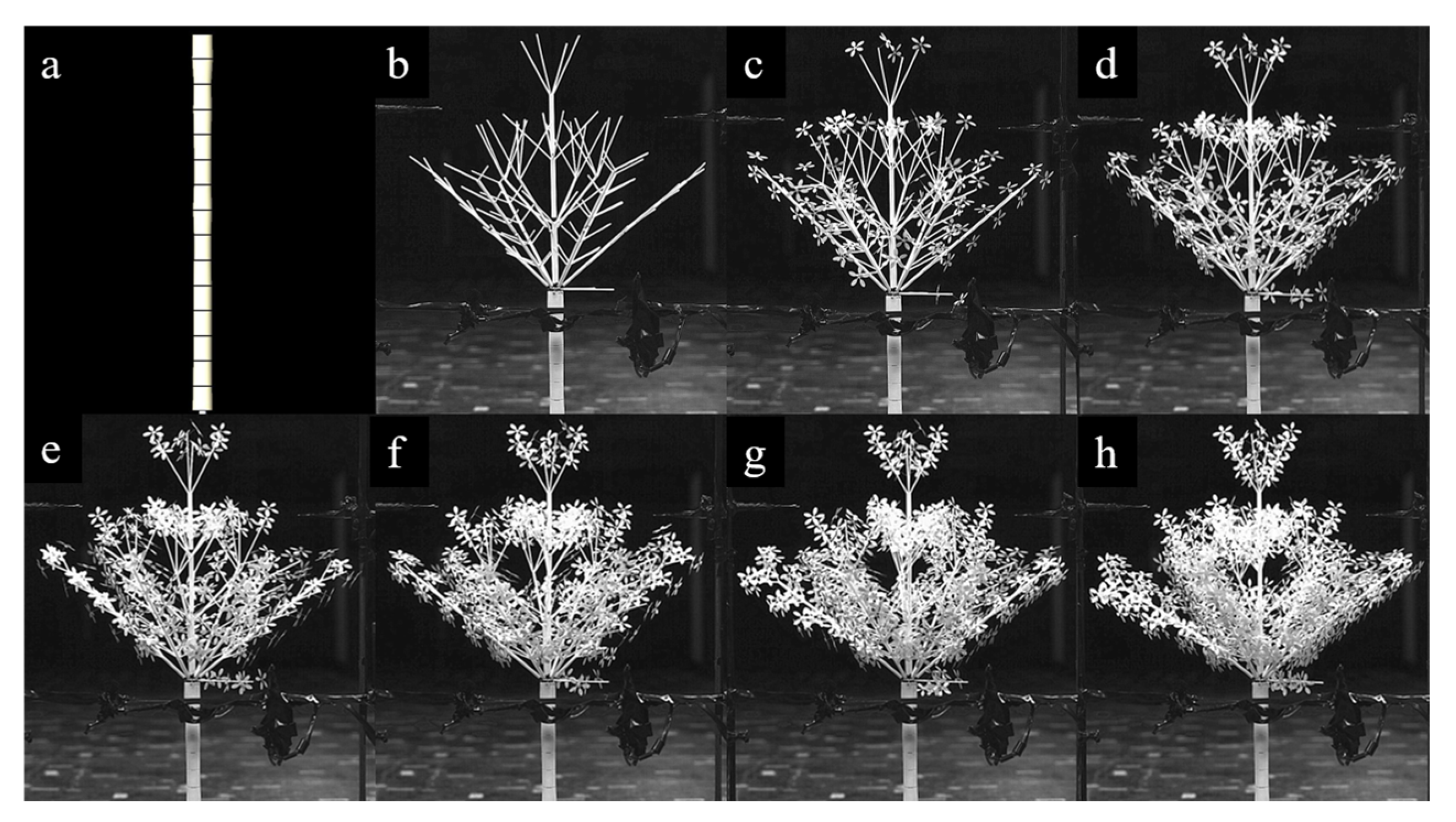 Applsci 12 07432 g007