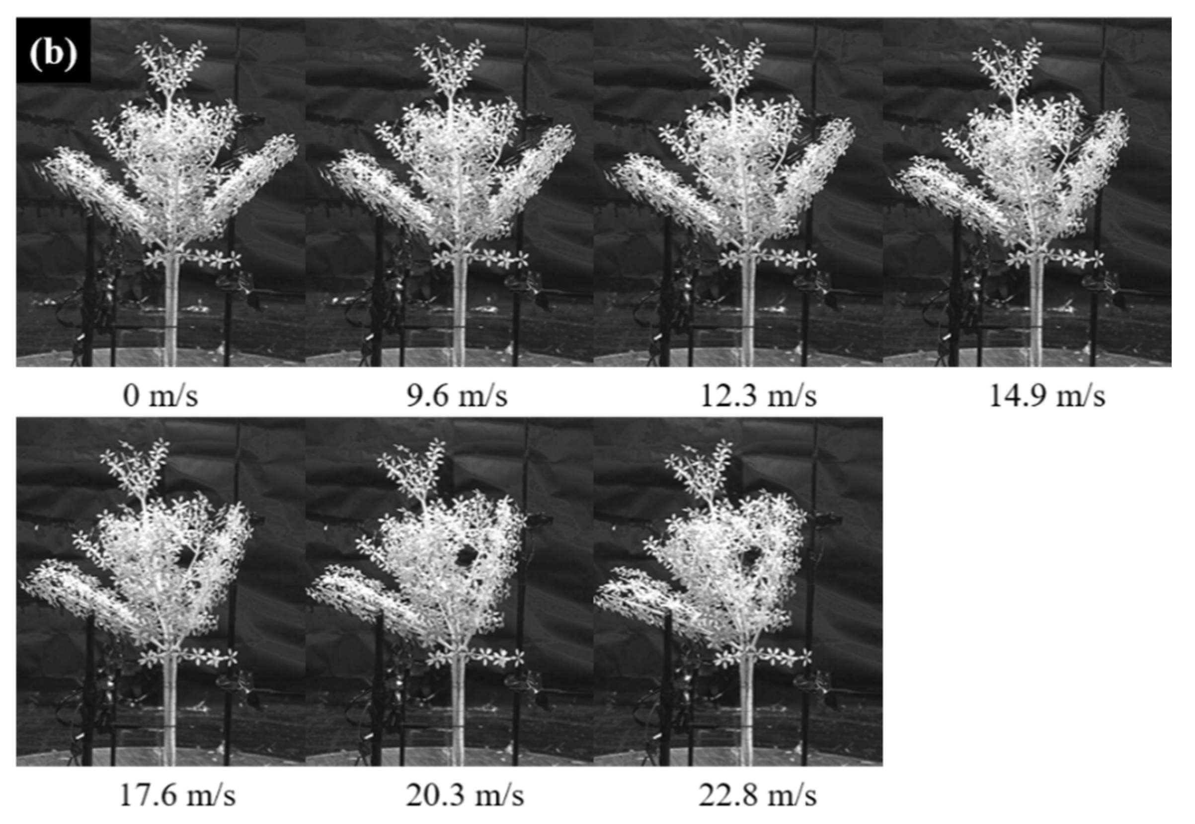 Applsci 12 07432 g010b