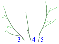 Applsci 12 07432 i007