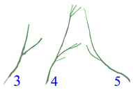 Applsci 12 07432 i008