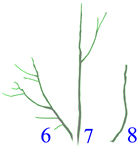 Applsci 12 07432 i011