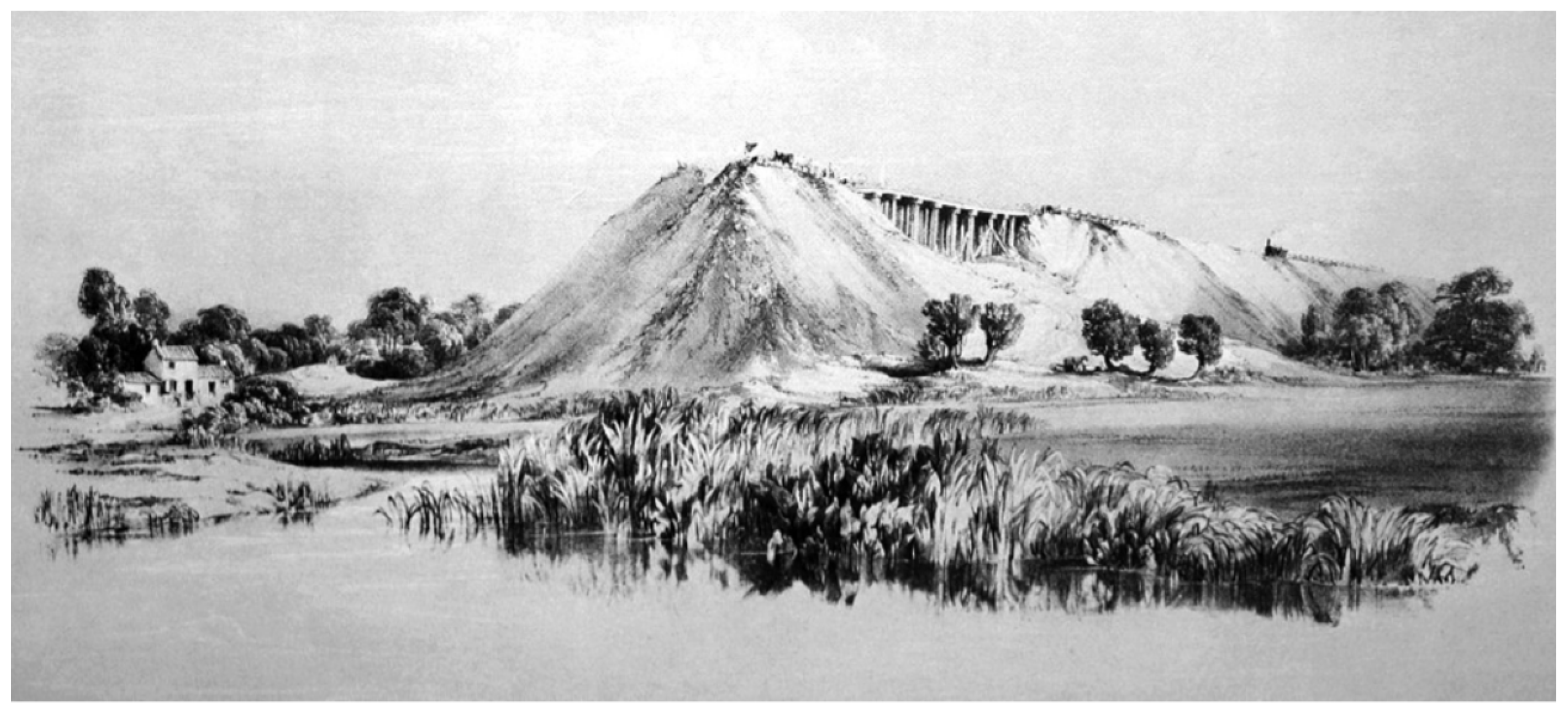 Applsci 12 07461 g001