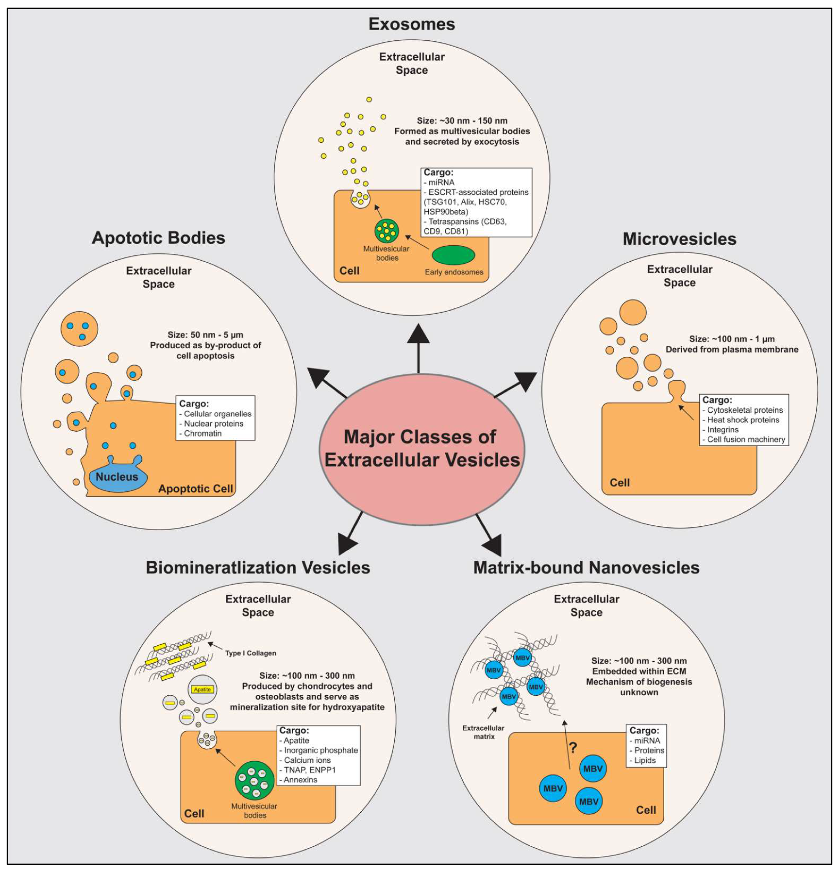 Applsci 12 07472 g001