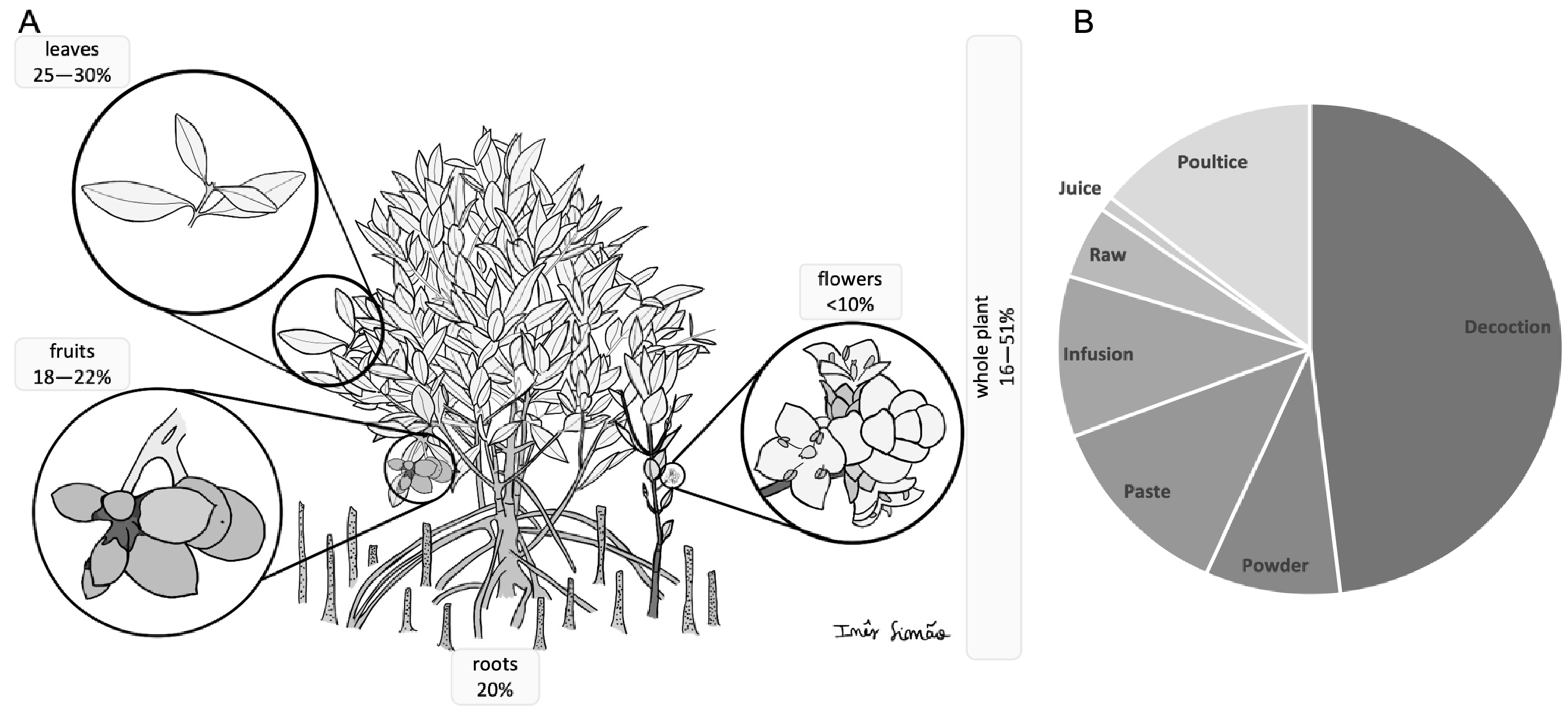 Applsci 12 07493 g001 Applsci 12 07493 g001