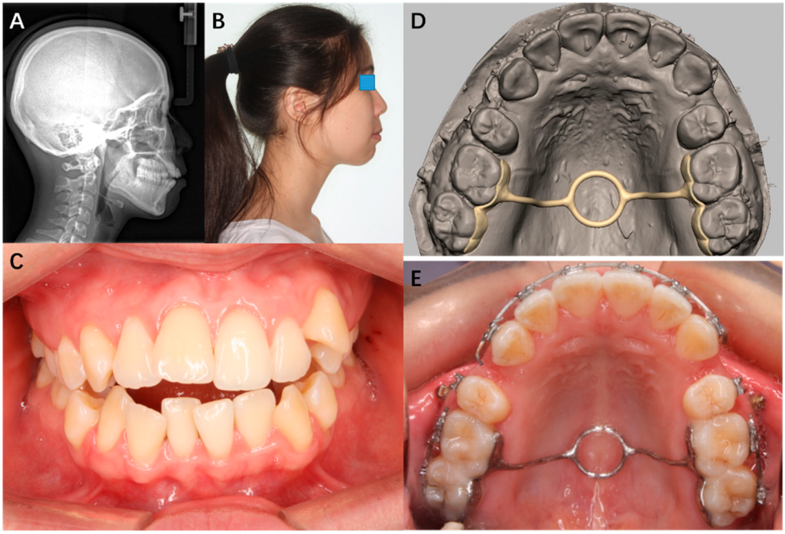 Applsci 12 07497 g006 Applsci 12 07497 g006