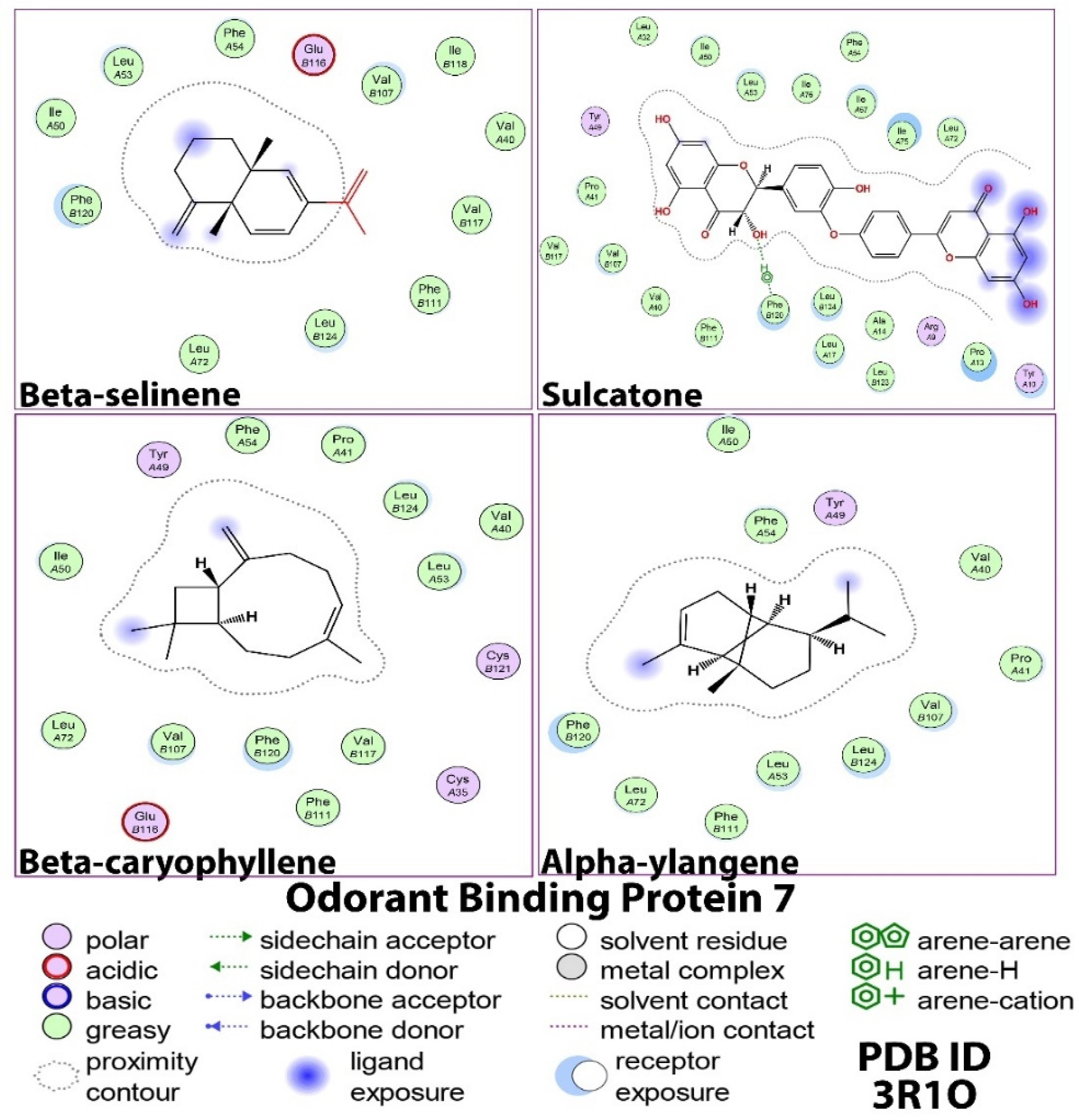Applsci 12 07500 g002 Applsci 12 07500 g002
