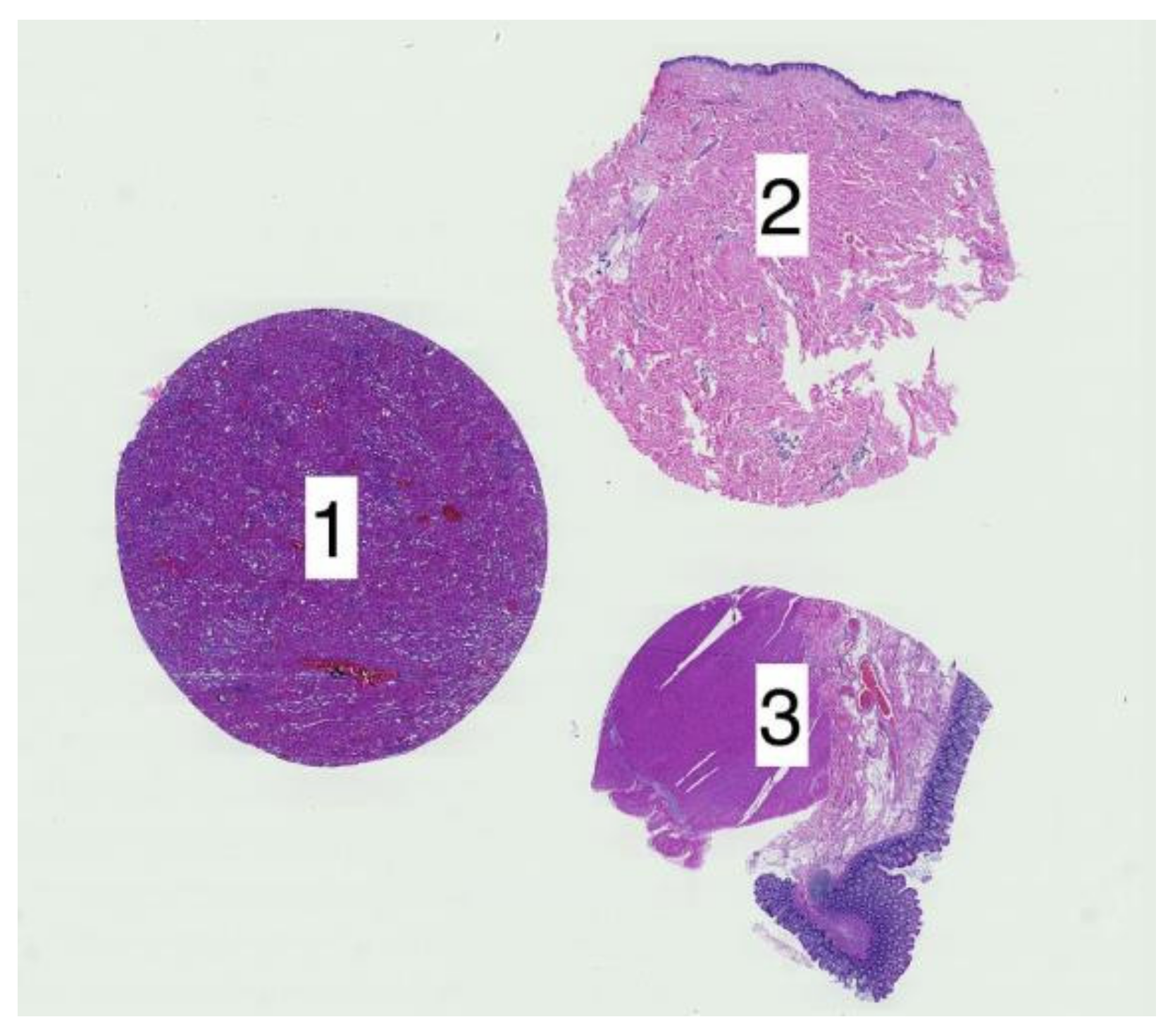 Applsci 12 07511 g001 550