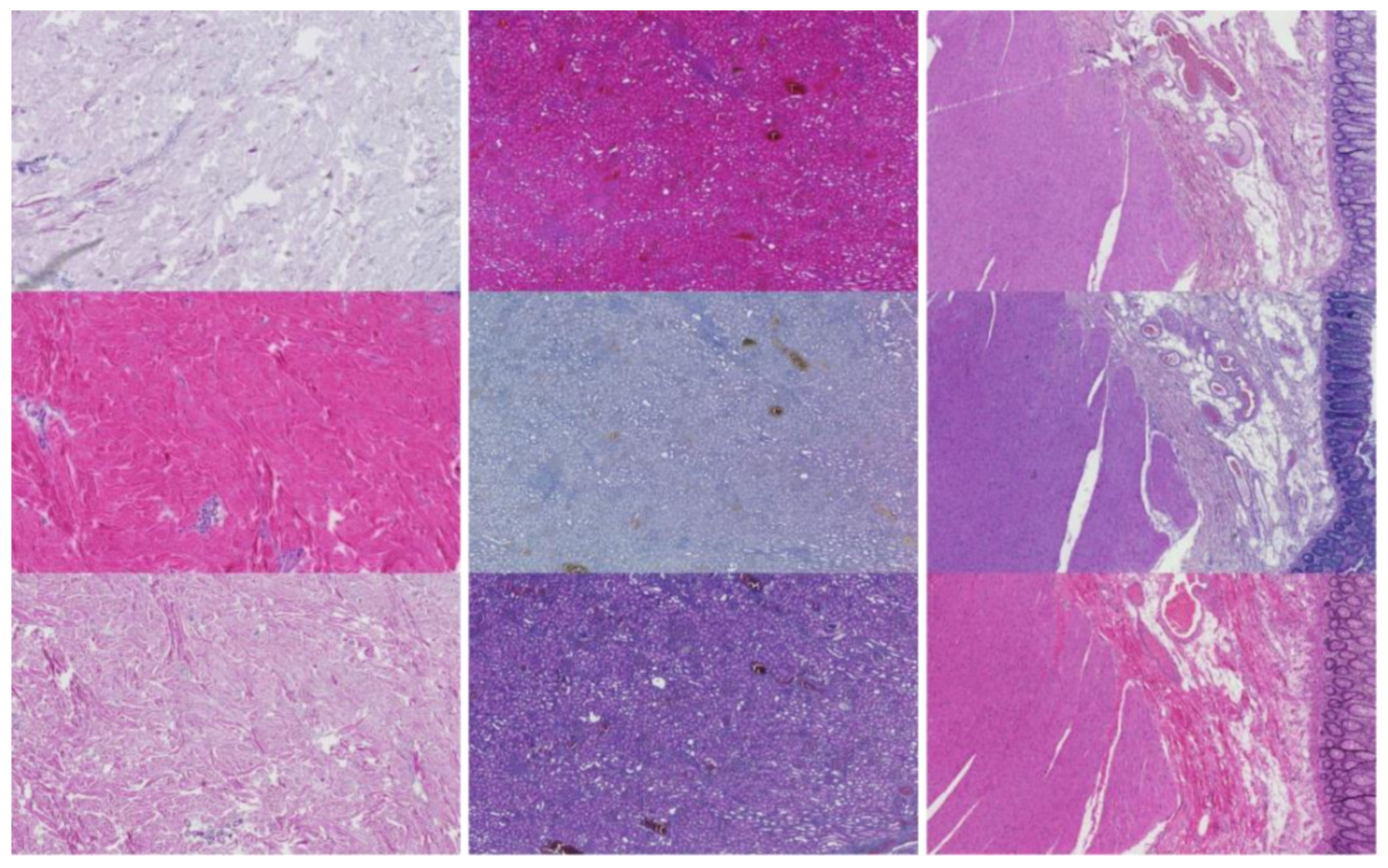 Applsci 12 07511 g003 550