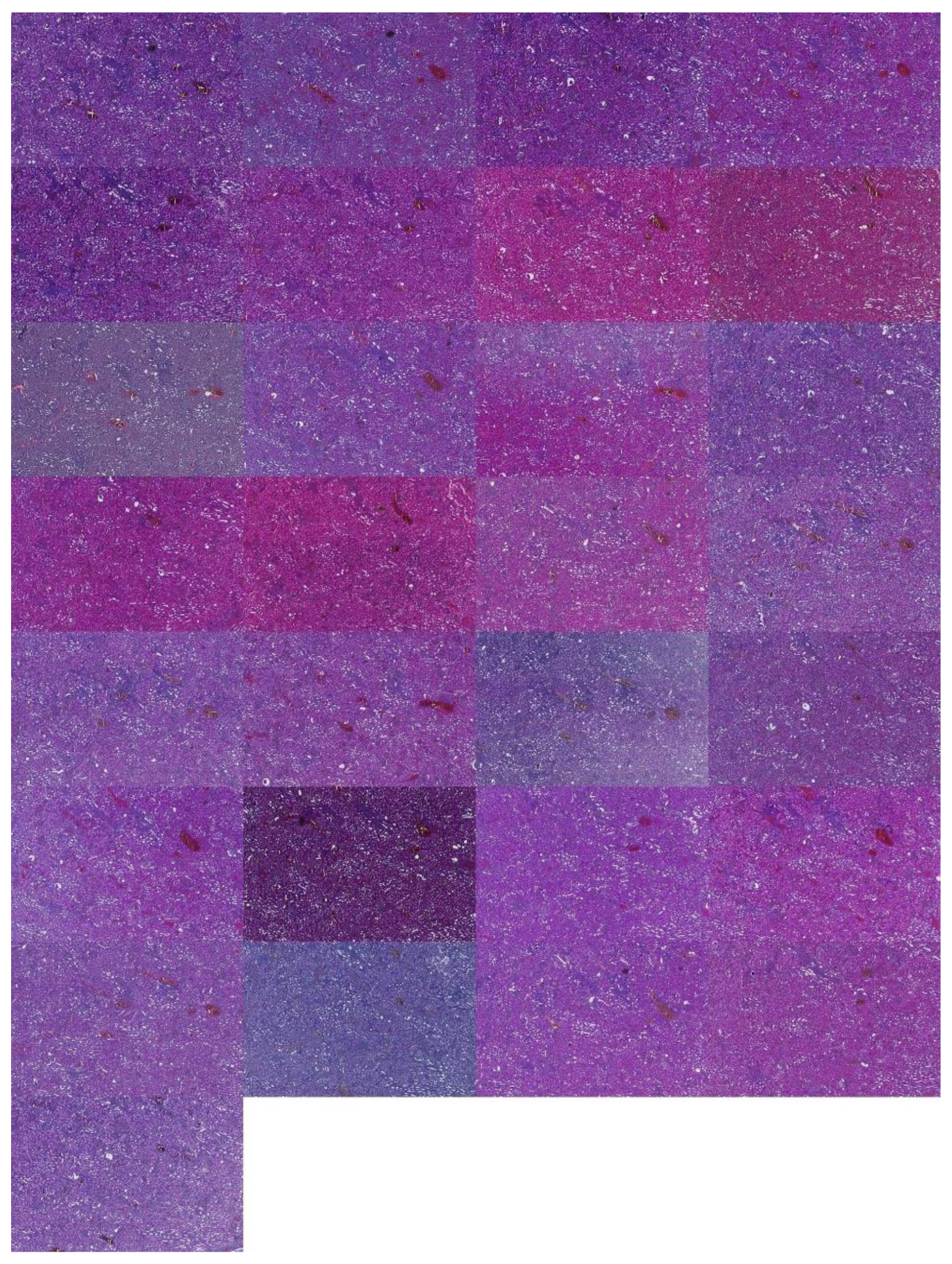 Applsci 12 07511 g0a6 550