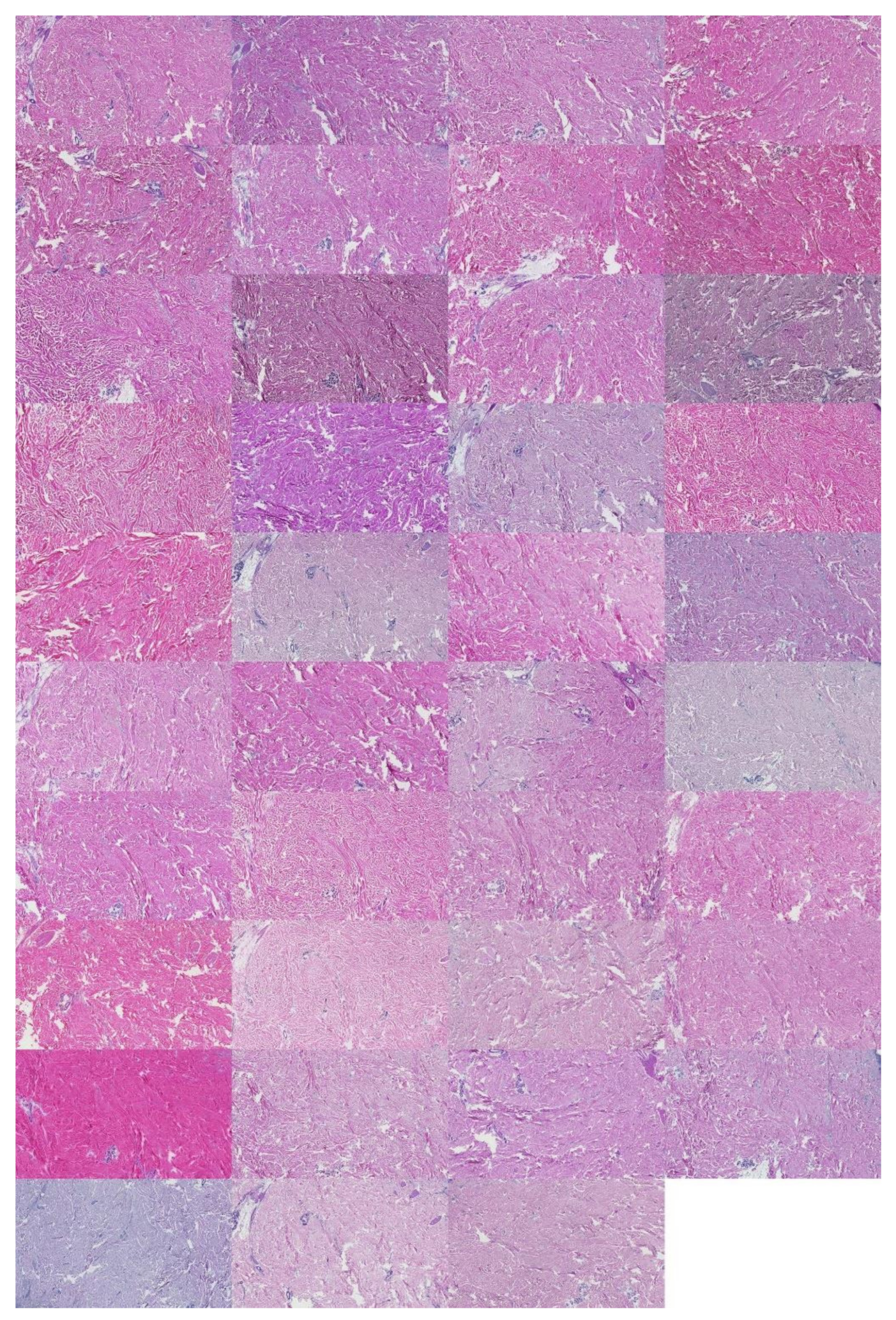 Applsci 12 07511 g0a8 550