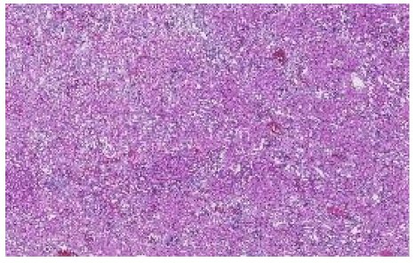 Applsci 12 07511 i001