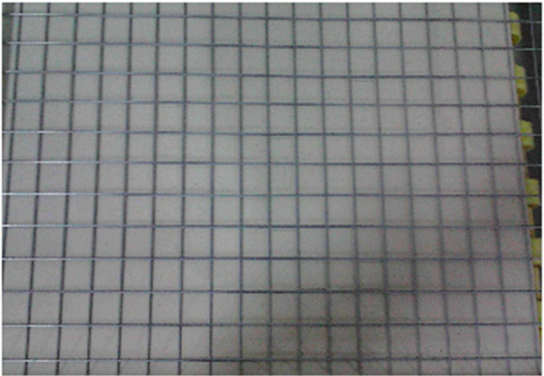 Applsci 12 07521 g008 550