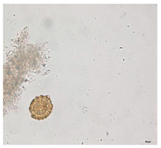 Applsci 12 07542 i001