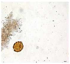 Applsci 12 07542 i004