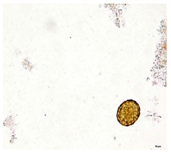 Applsci 12 07542 i005