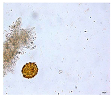 Applsci 12 07542 i010