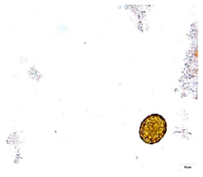 Applsci 12 07542 i011