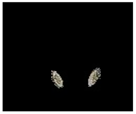 Applsci 12 07542 i016