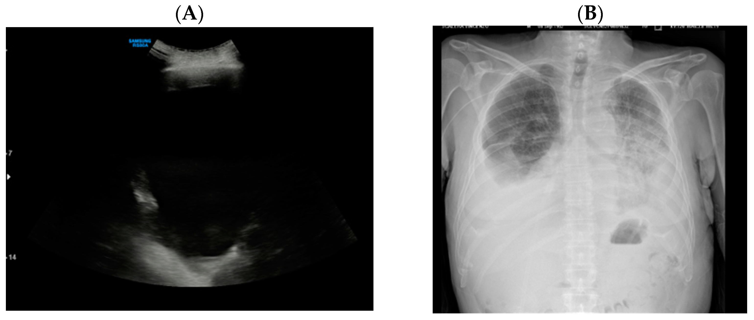 Applsci 12 07552 g005