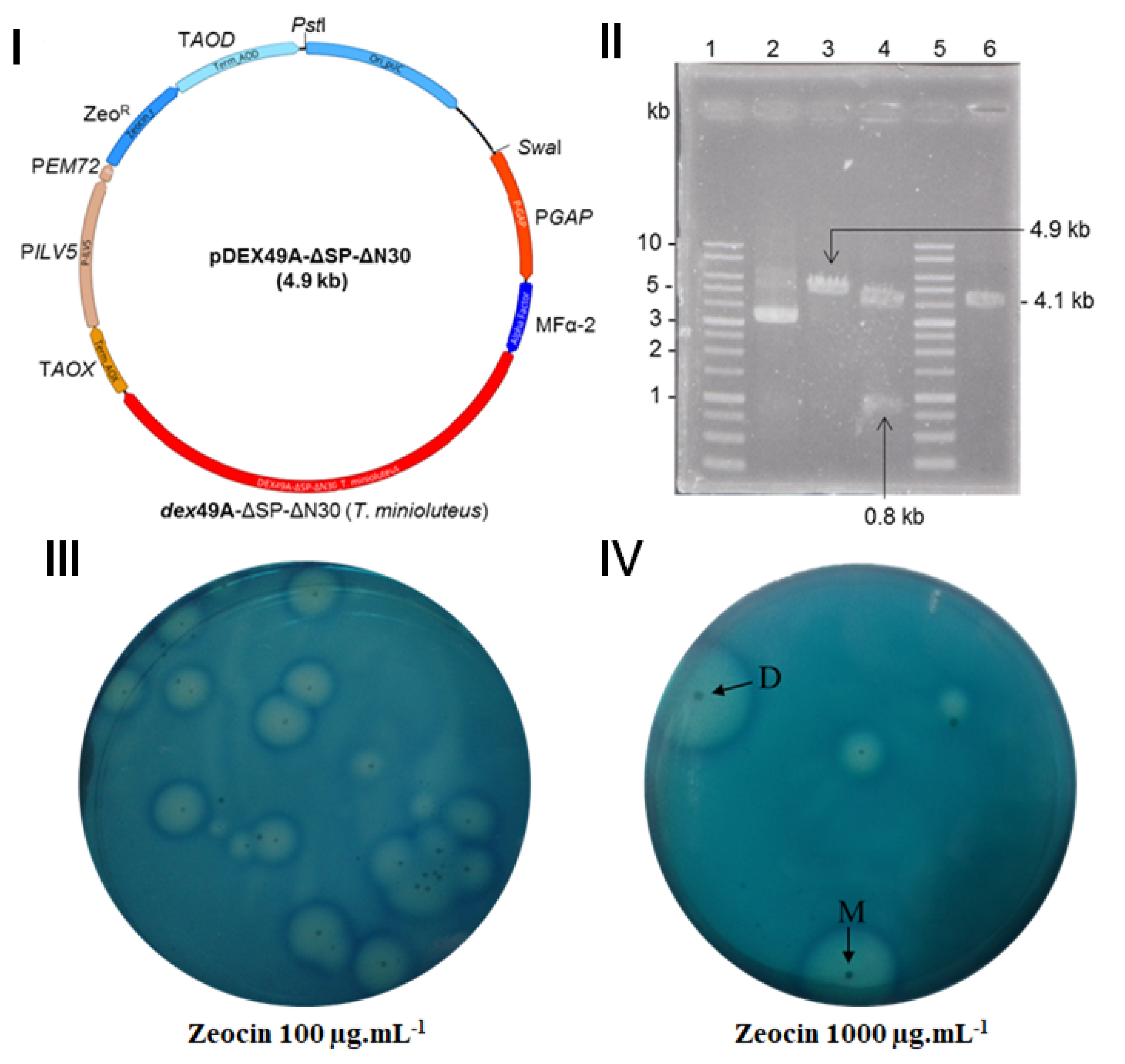 Applsci 12 07562 g001 Applsci 12 07562 g001