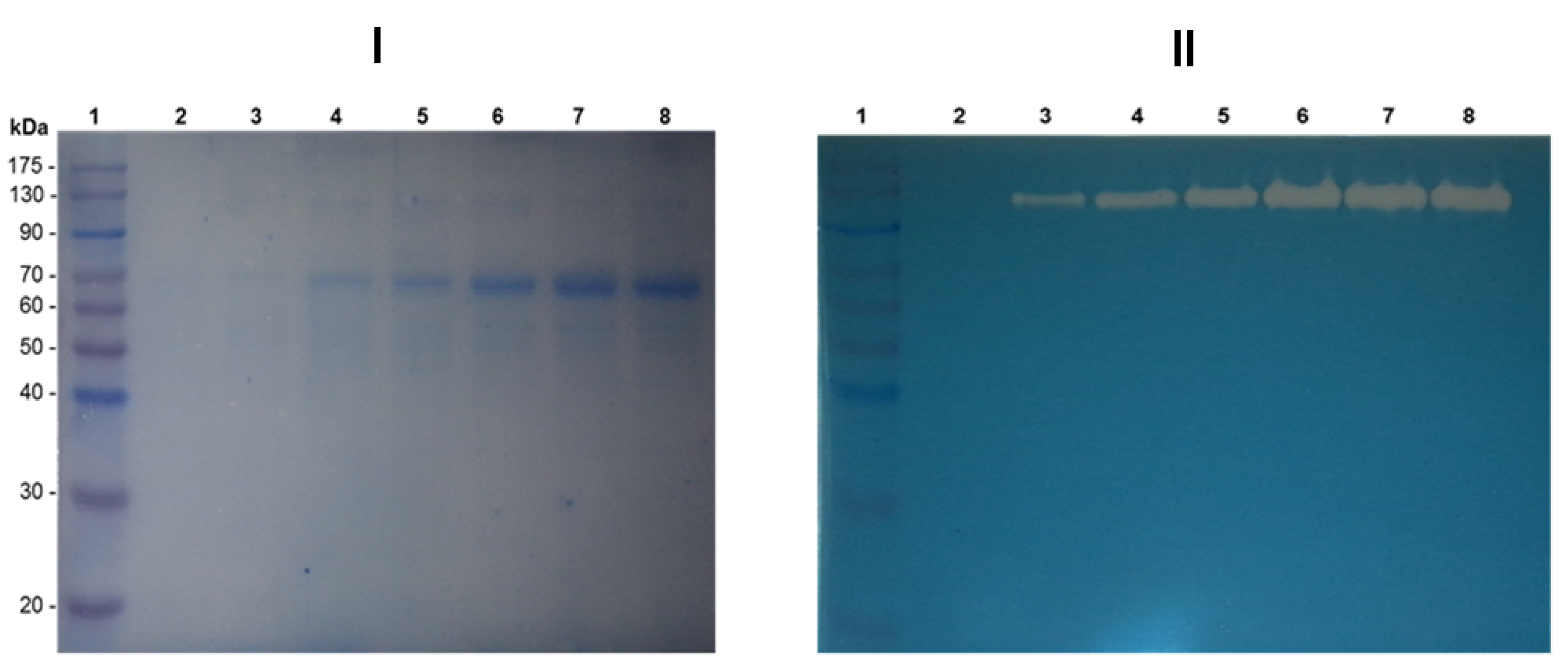 Applsci 12 07562 g004 Applsci 12 07562 g004