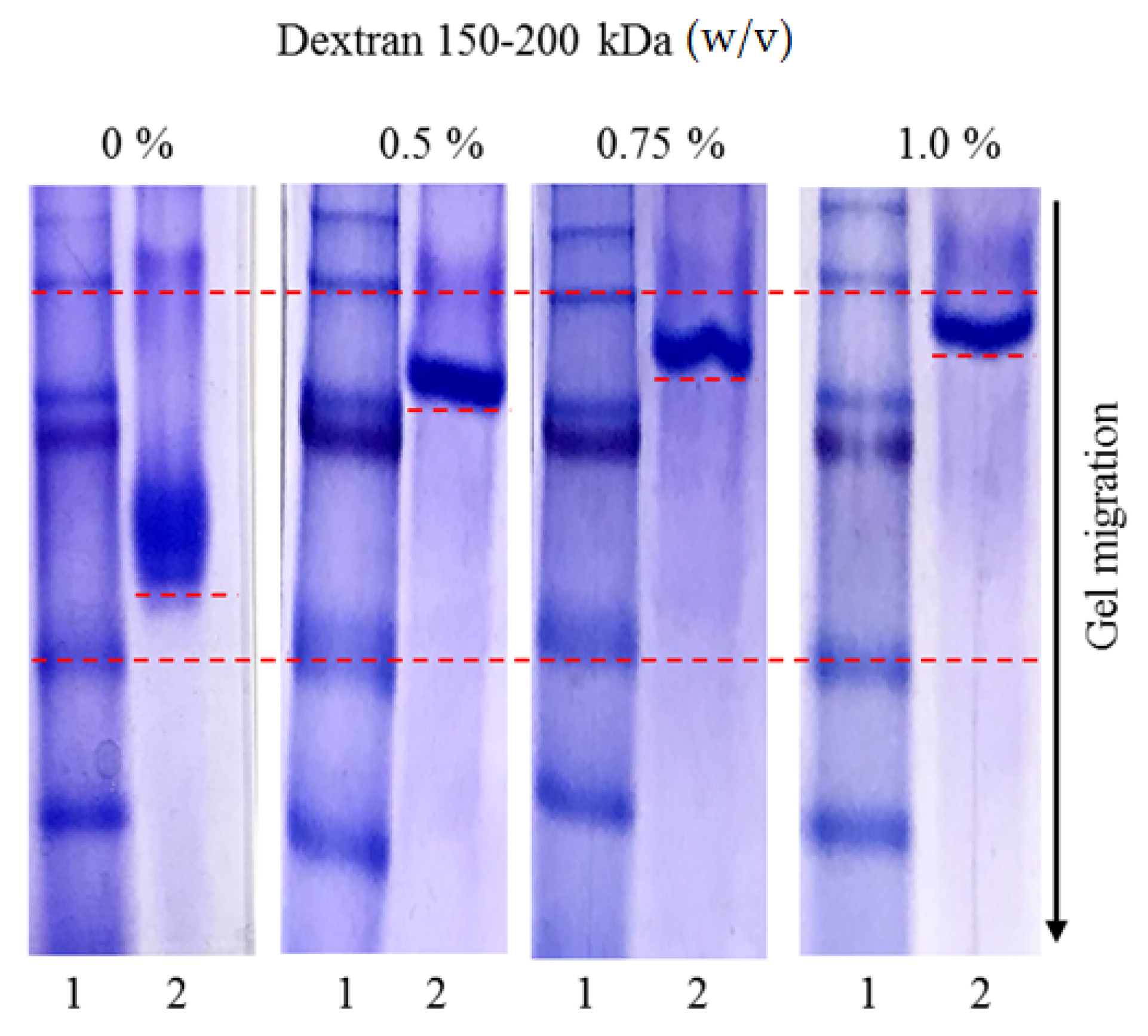 Applsci 12 07562 g007 Applsci 12 07562 g007
