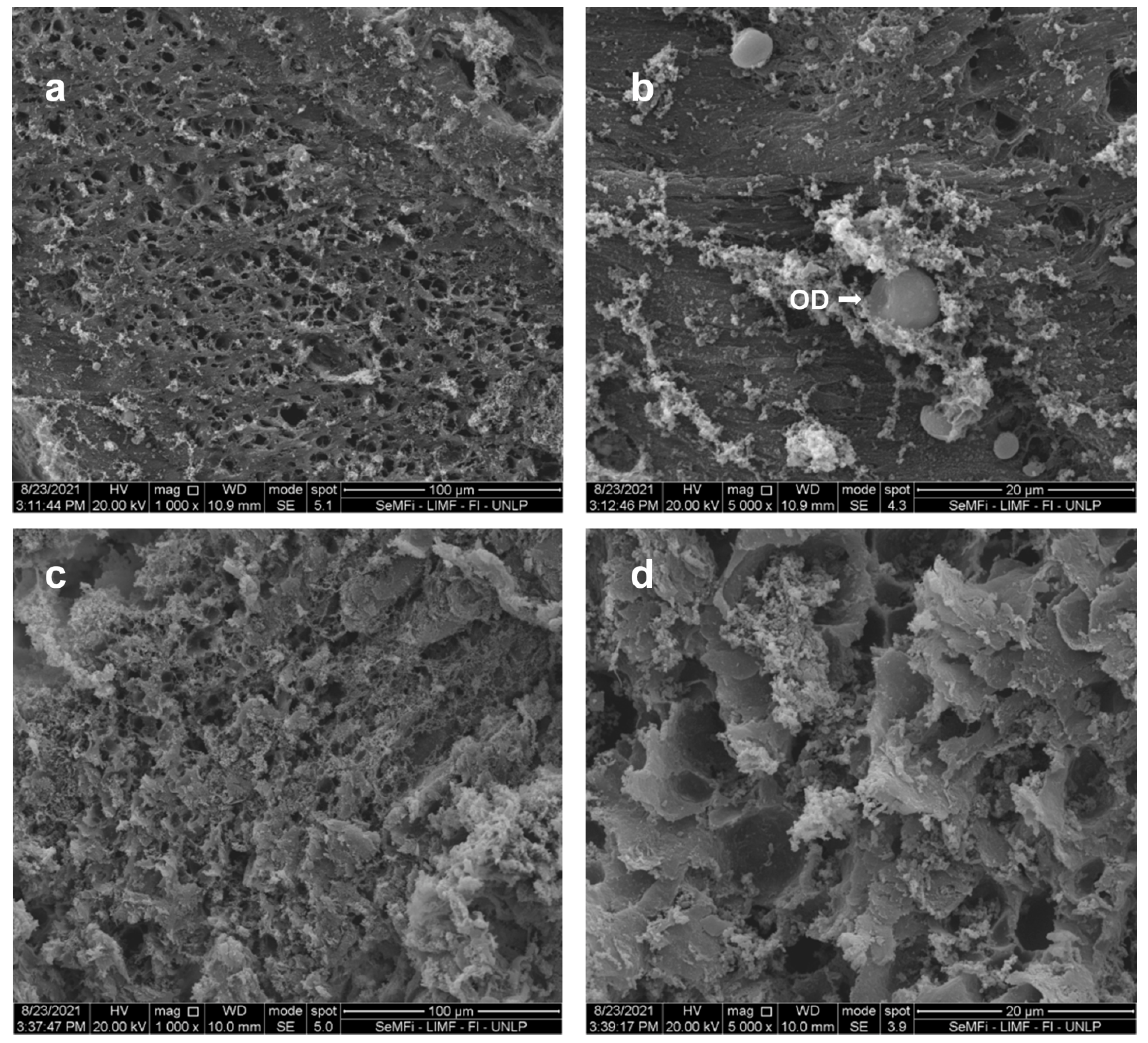 Applsci 12 07571 g004