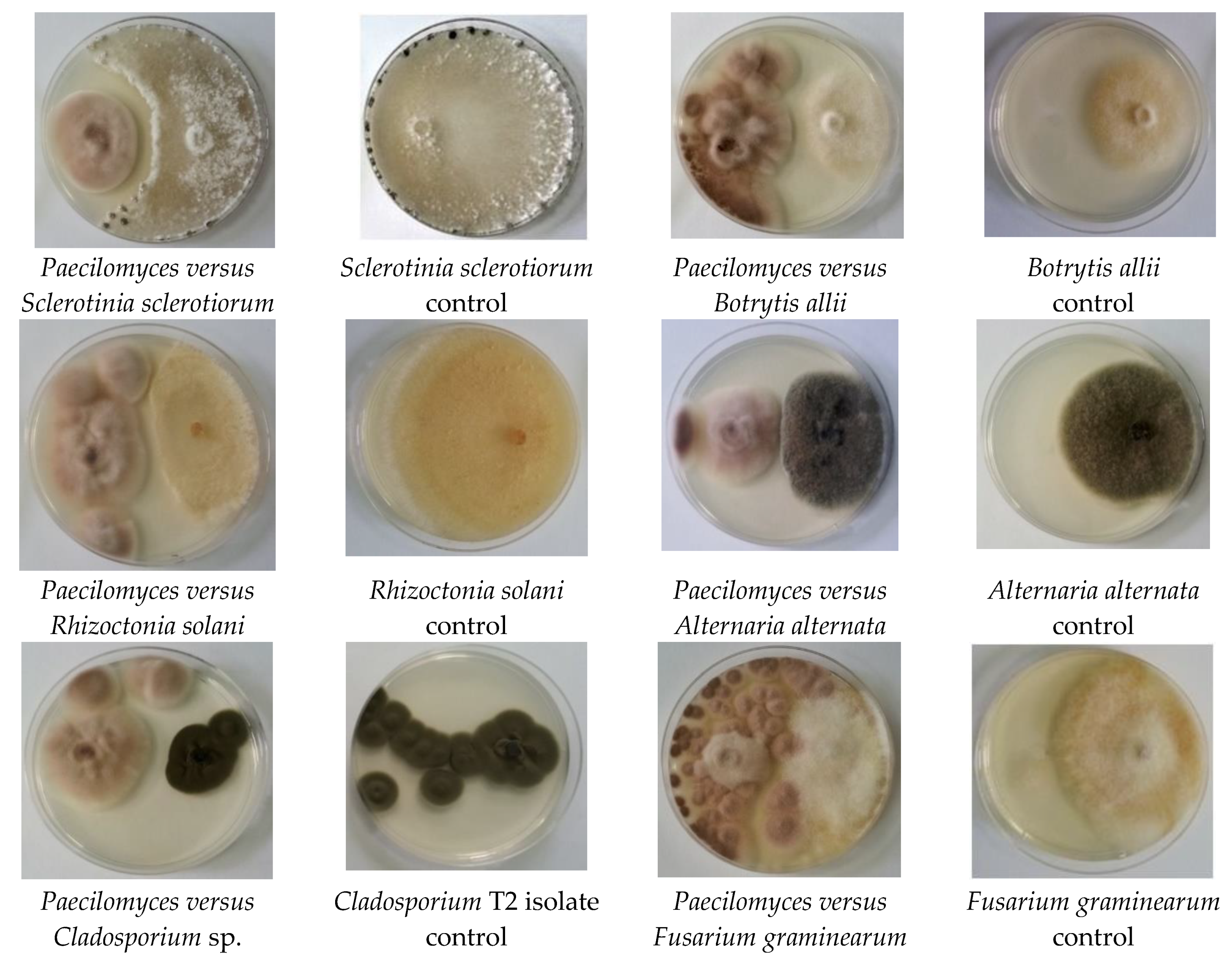 Applsci 12 07572 g002 Applsci 12 07572 g002