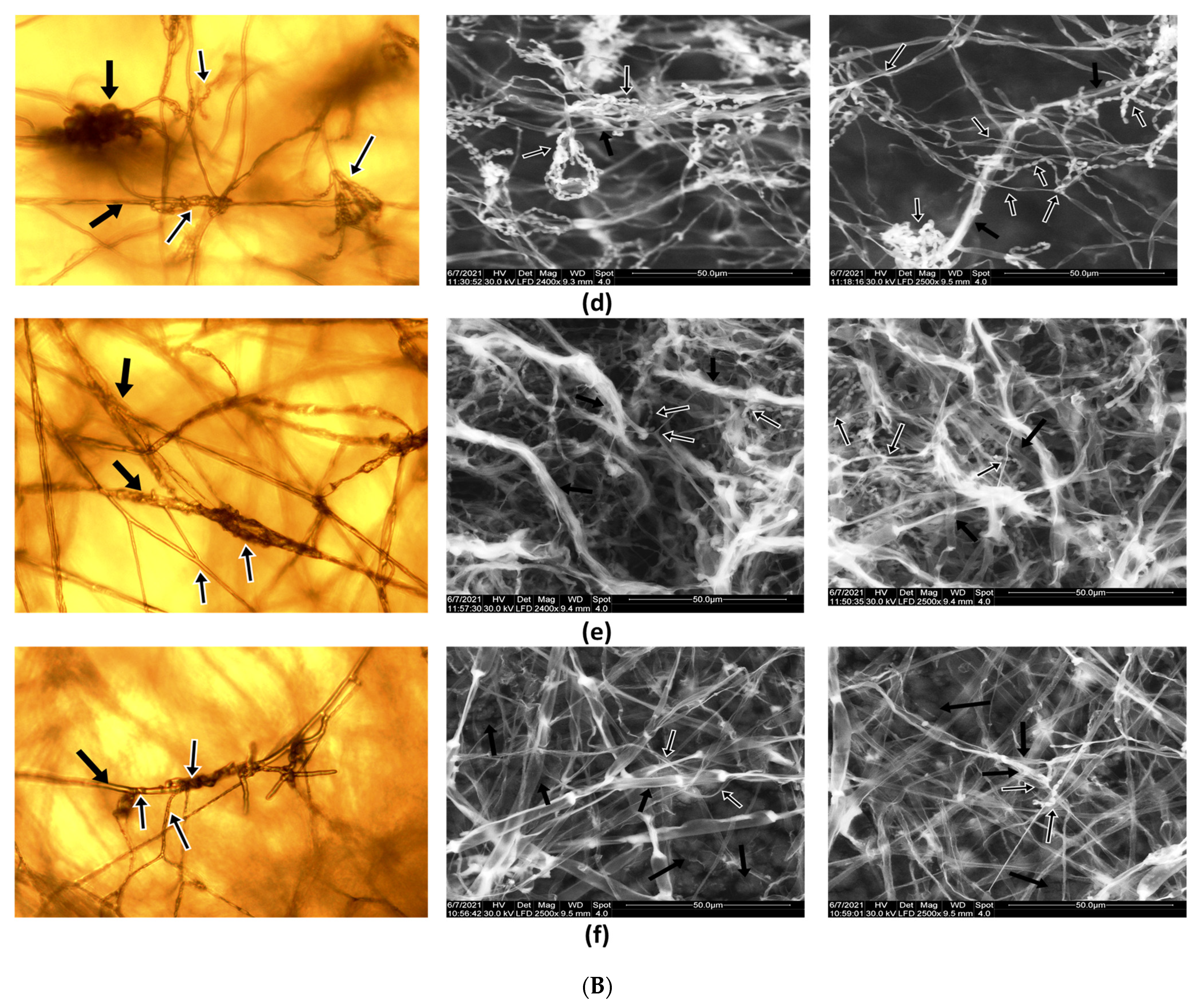 Applsci 12 07572 g003b Applsci 12 07572 g003b