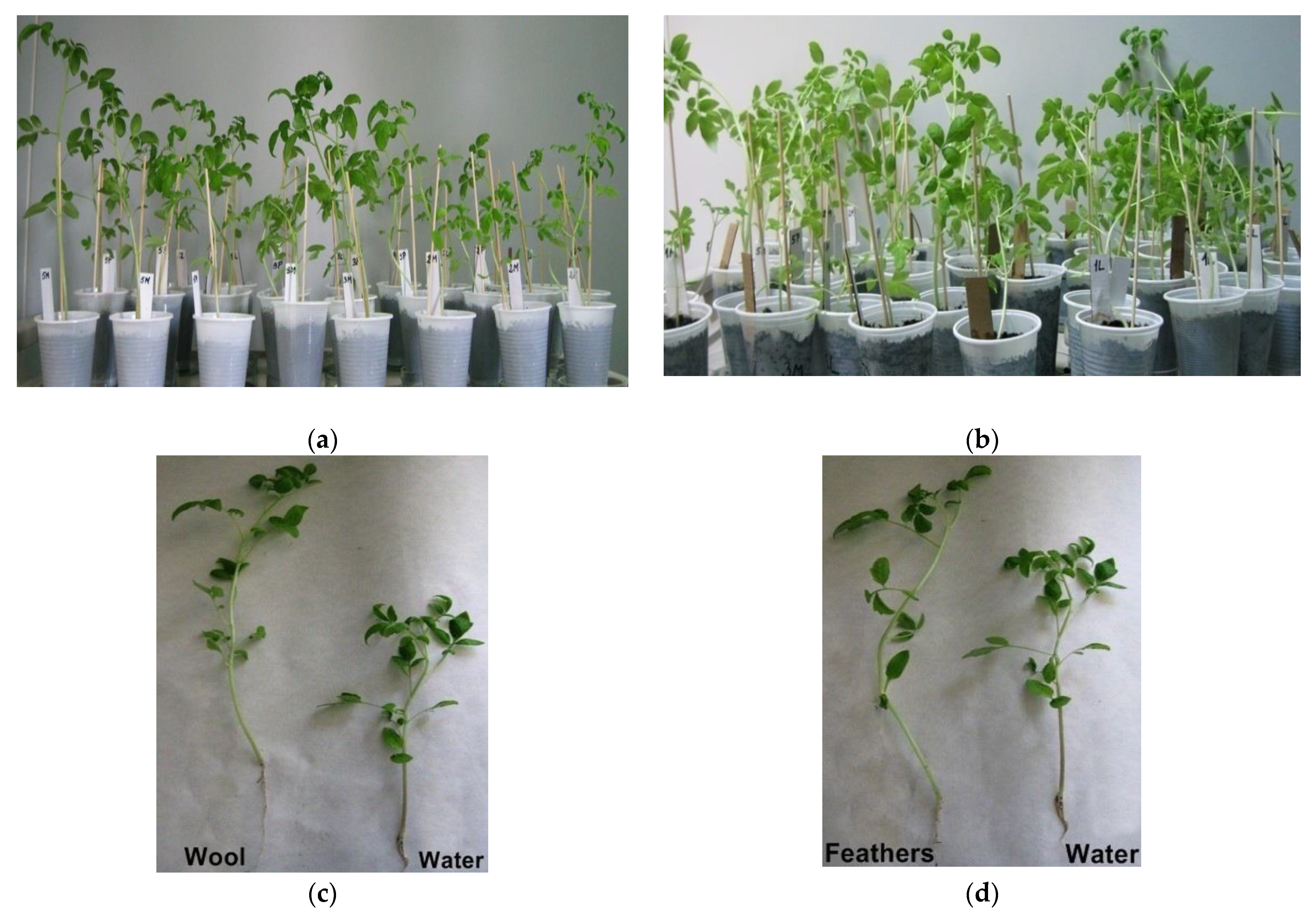 Applsci 12 07572 g006 Applsci 12 07572 g006