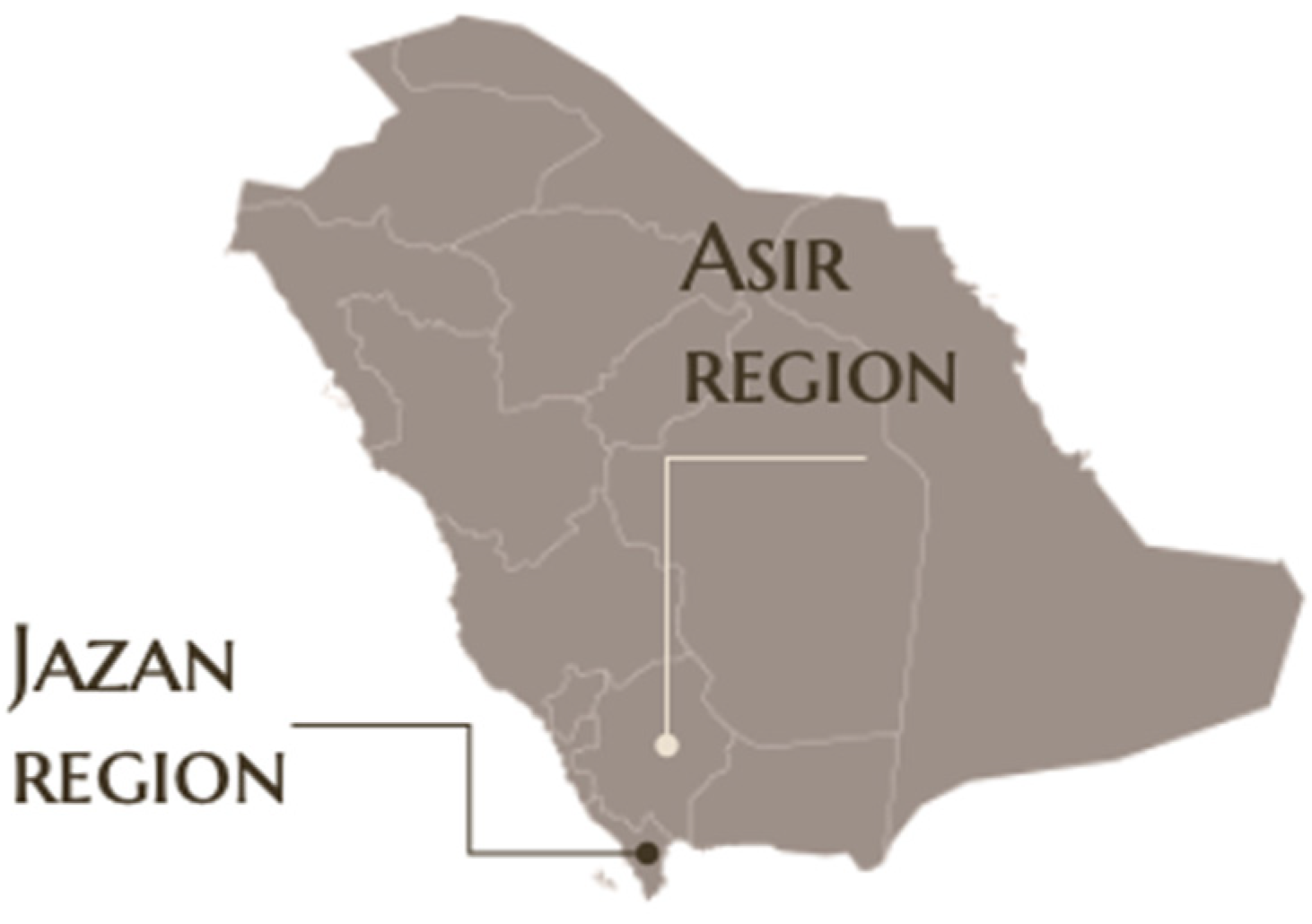 Applsci 12 07584 g001 550