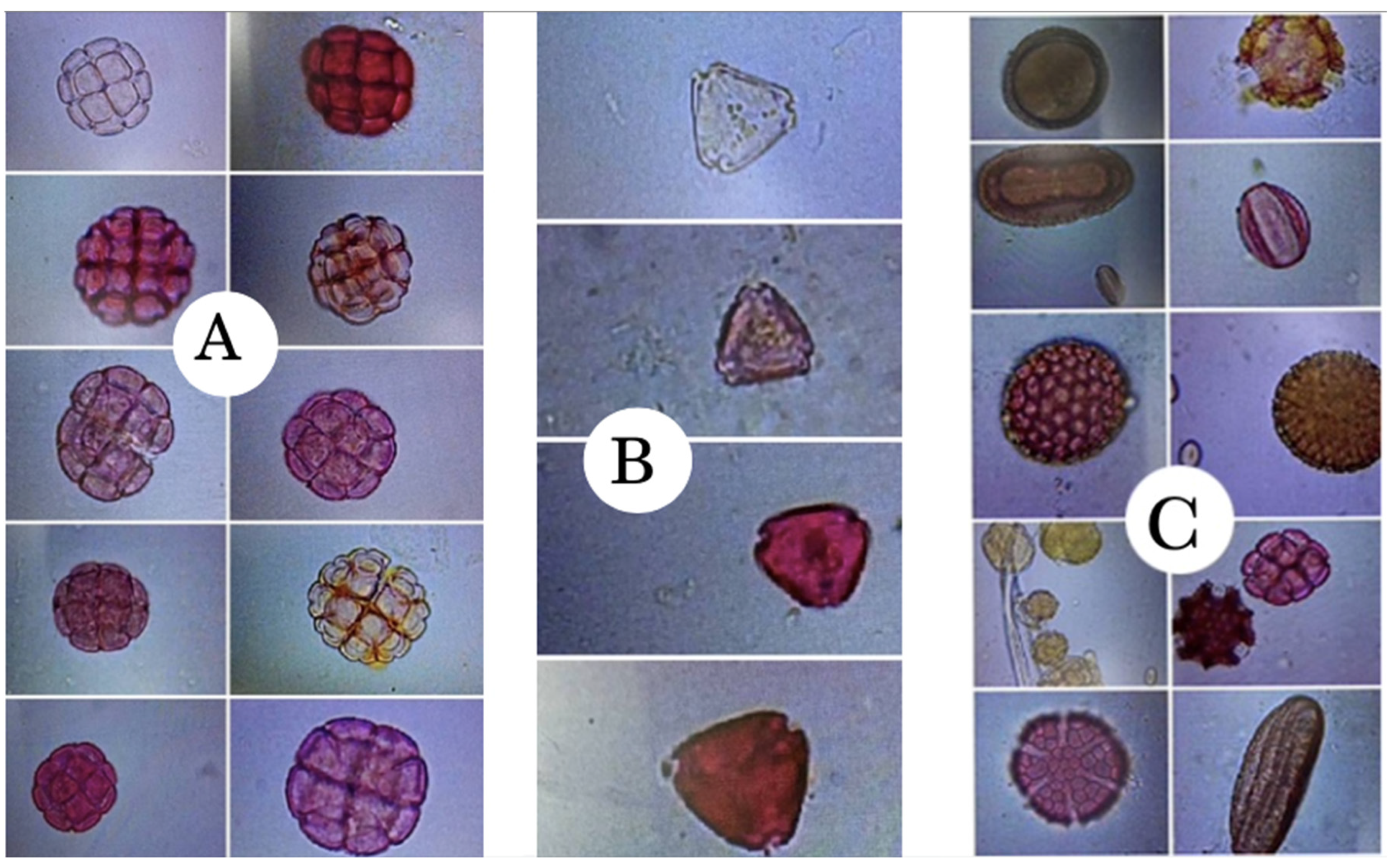 Applsci 12 07584 g002 550