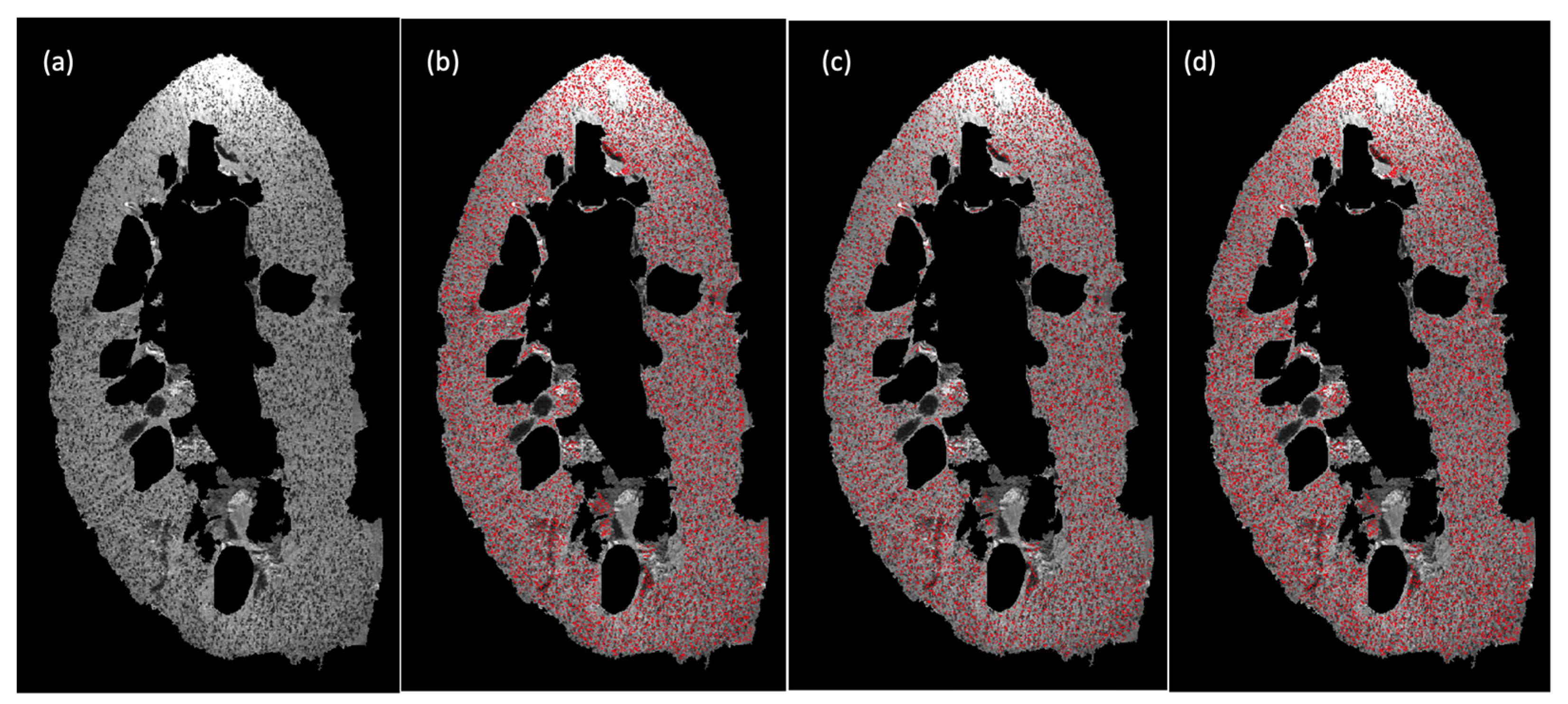 Applsci 12 07599 g003
