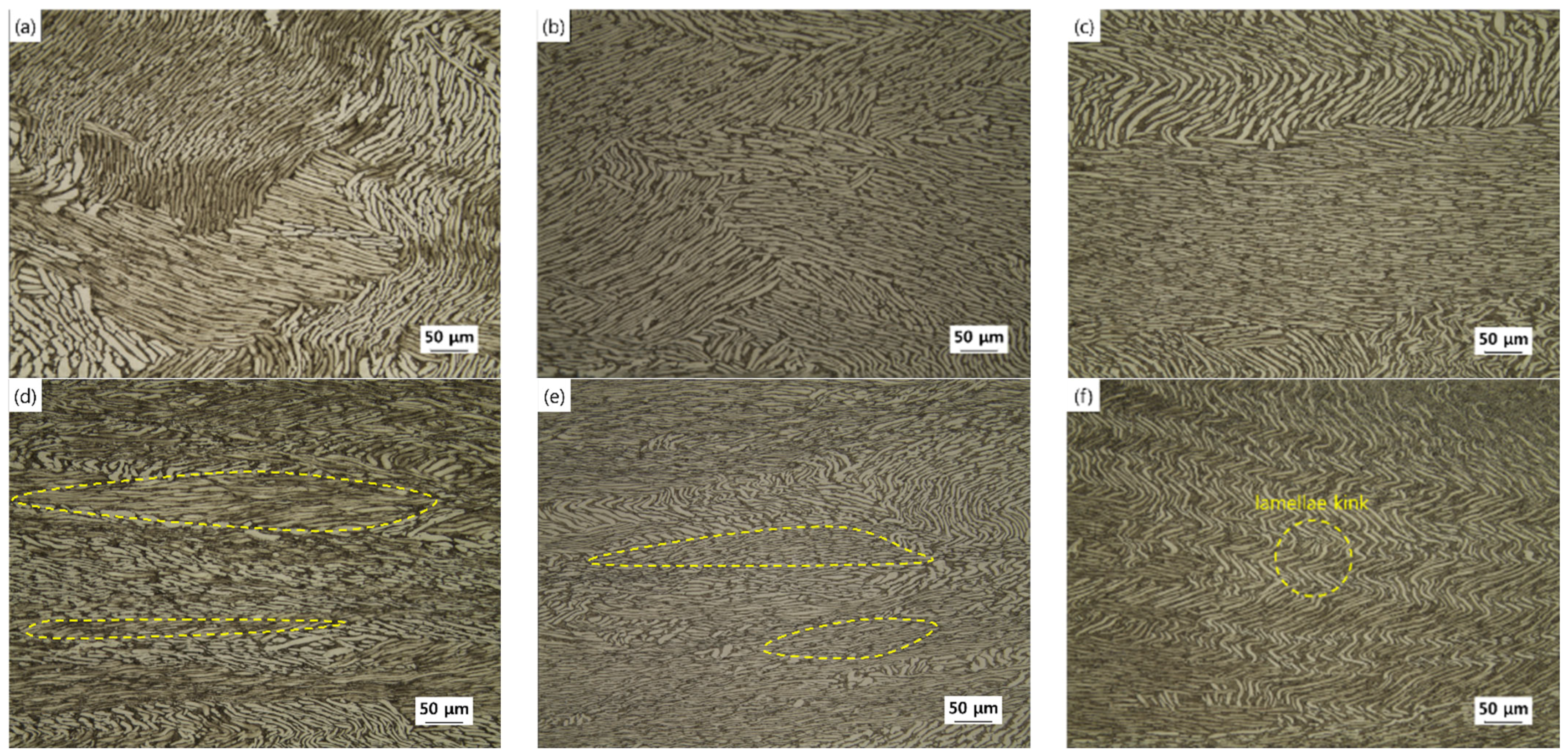 Applsci 12 07621 g013