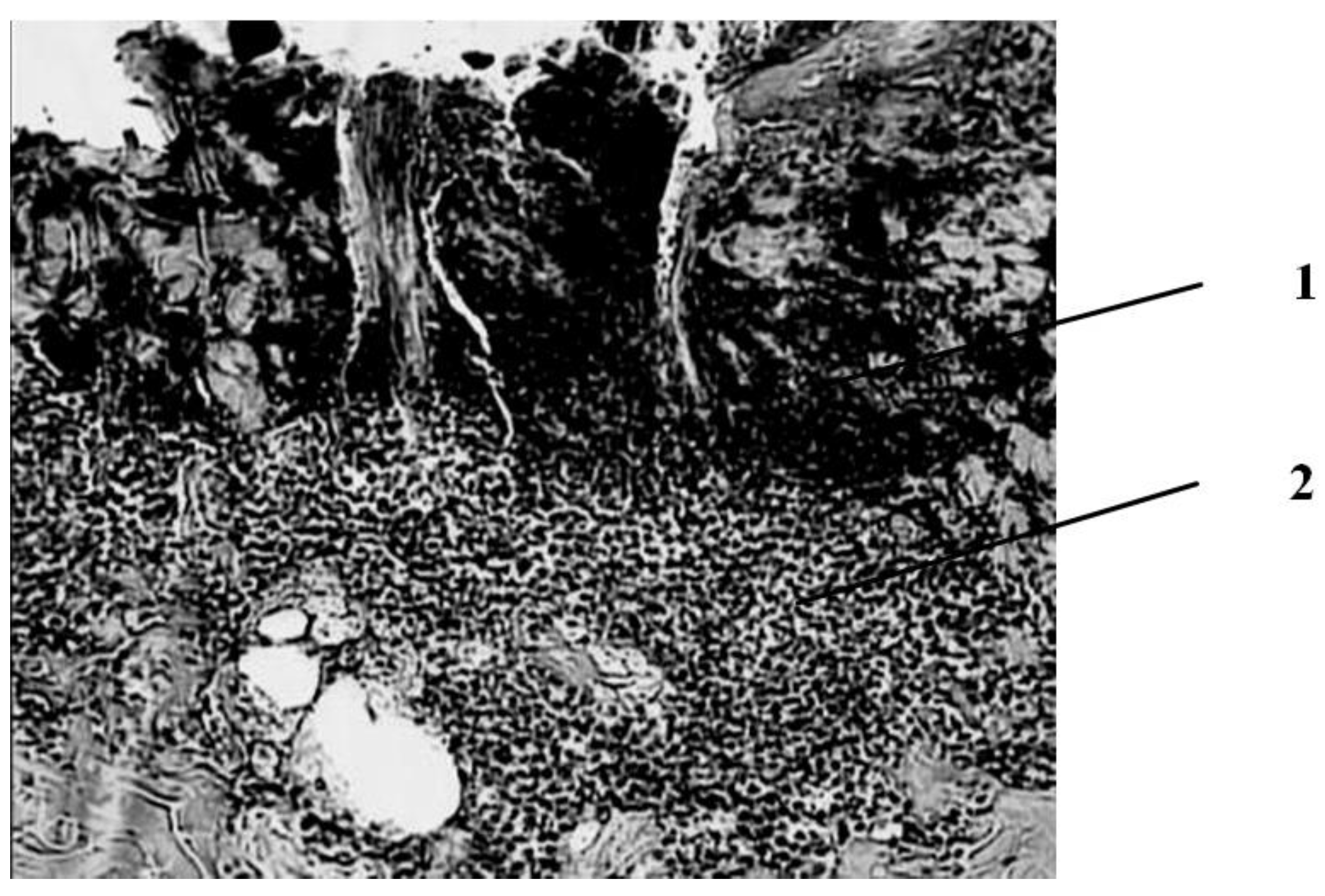 Applsci 12 07638 g003