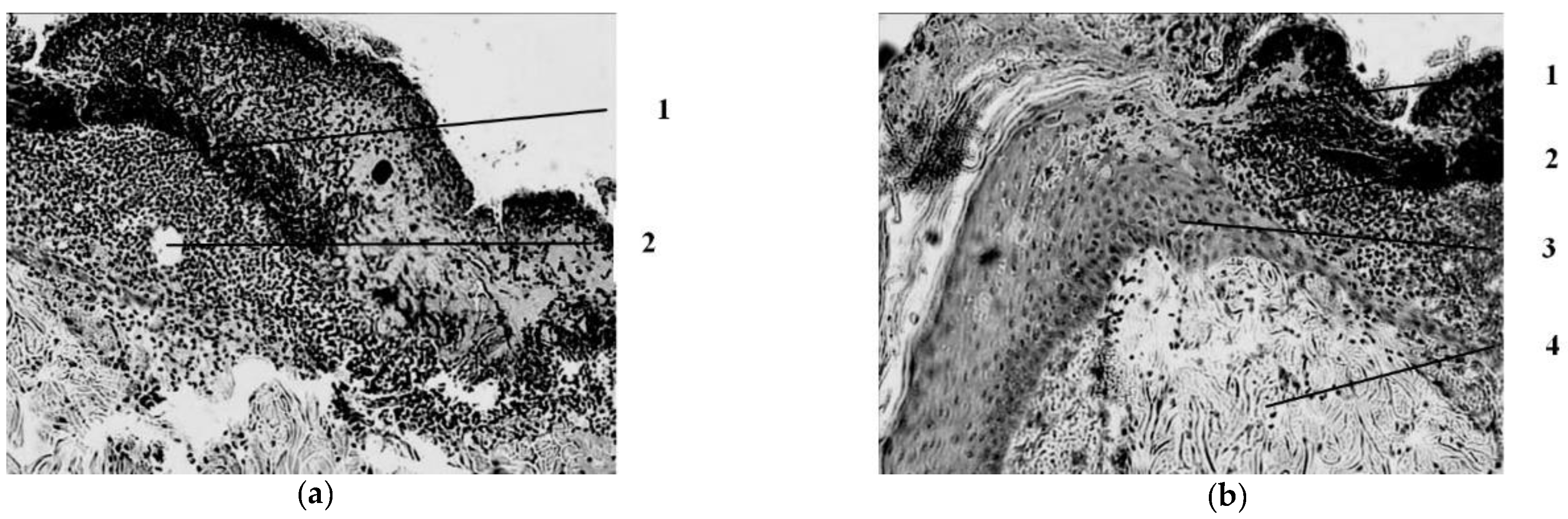 Applsci 12 07638 g007