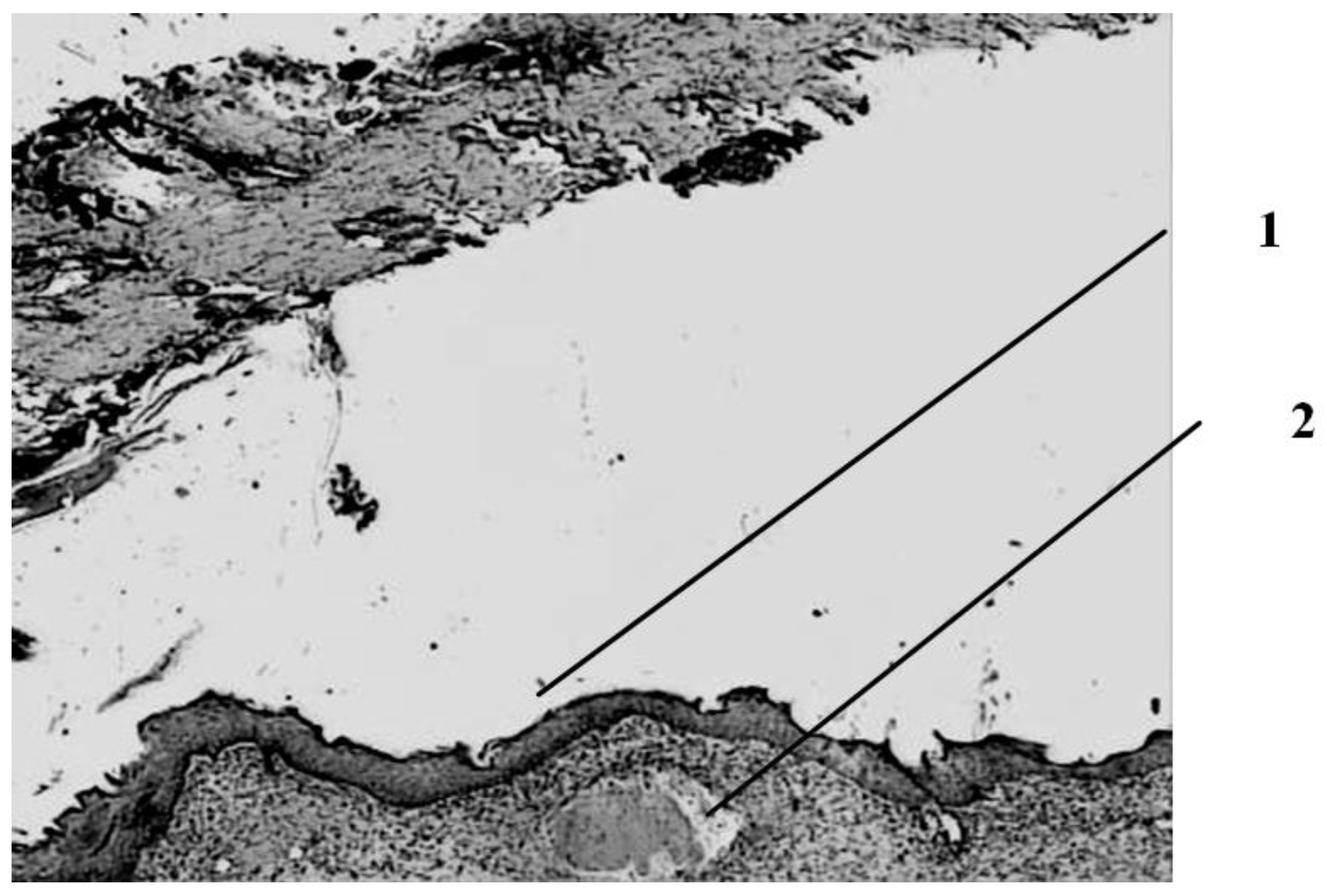 Applsci 12 07638 g008