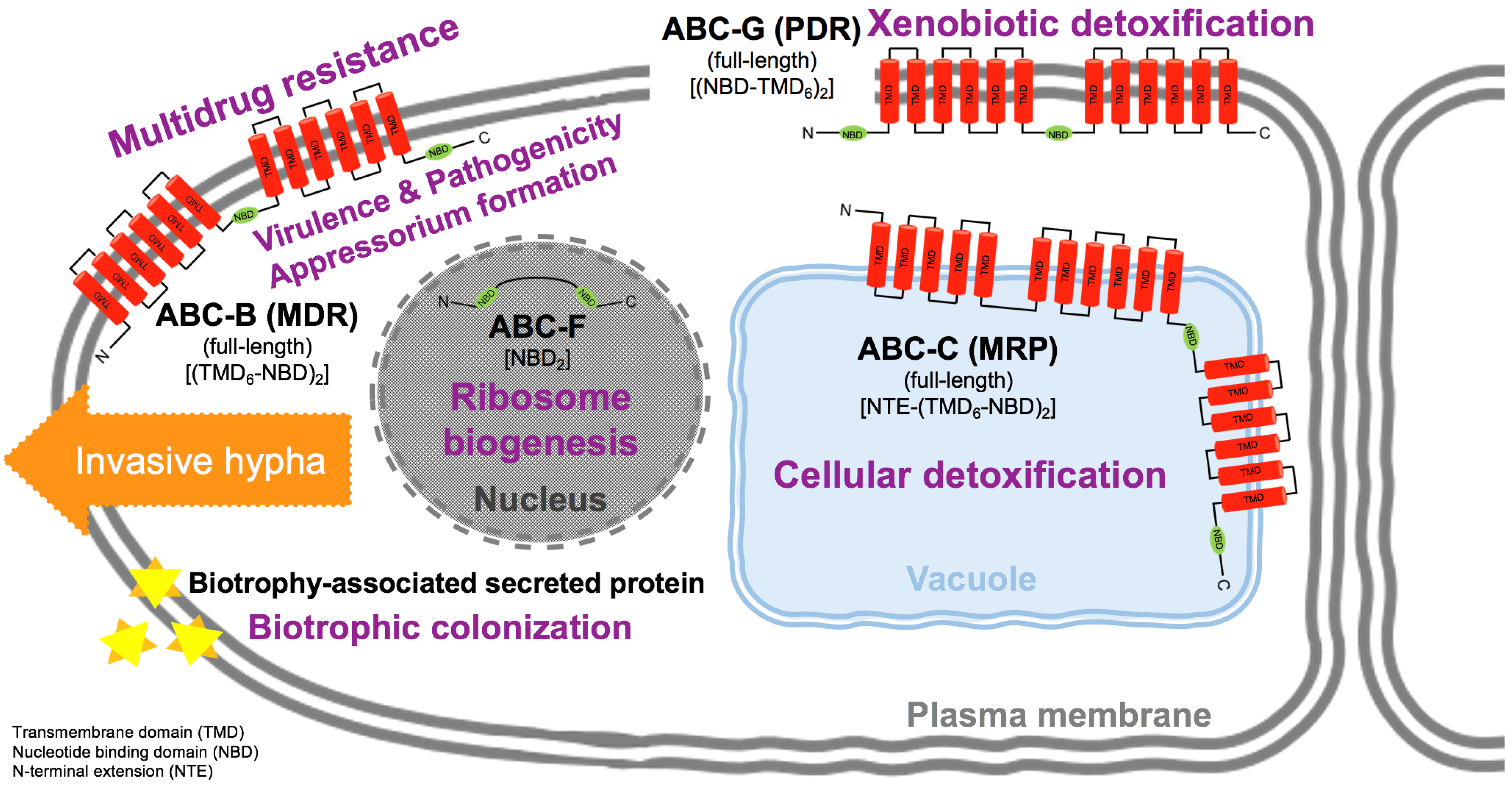 Applsci 12 07641 g002