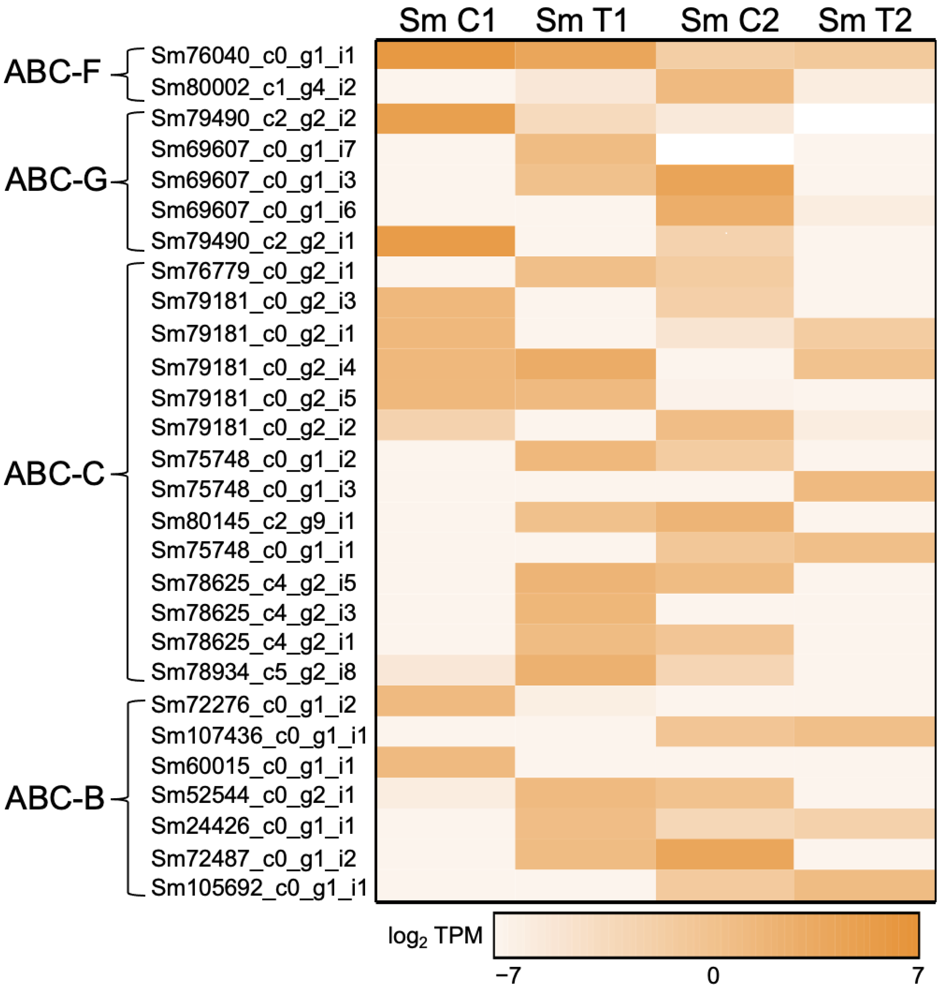 Applsci 12 07641 g004