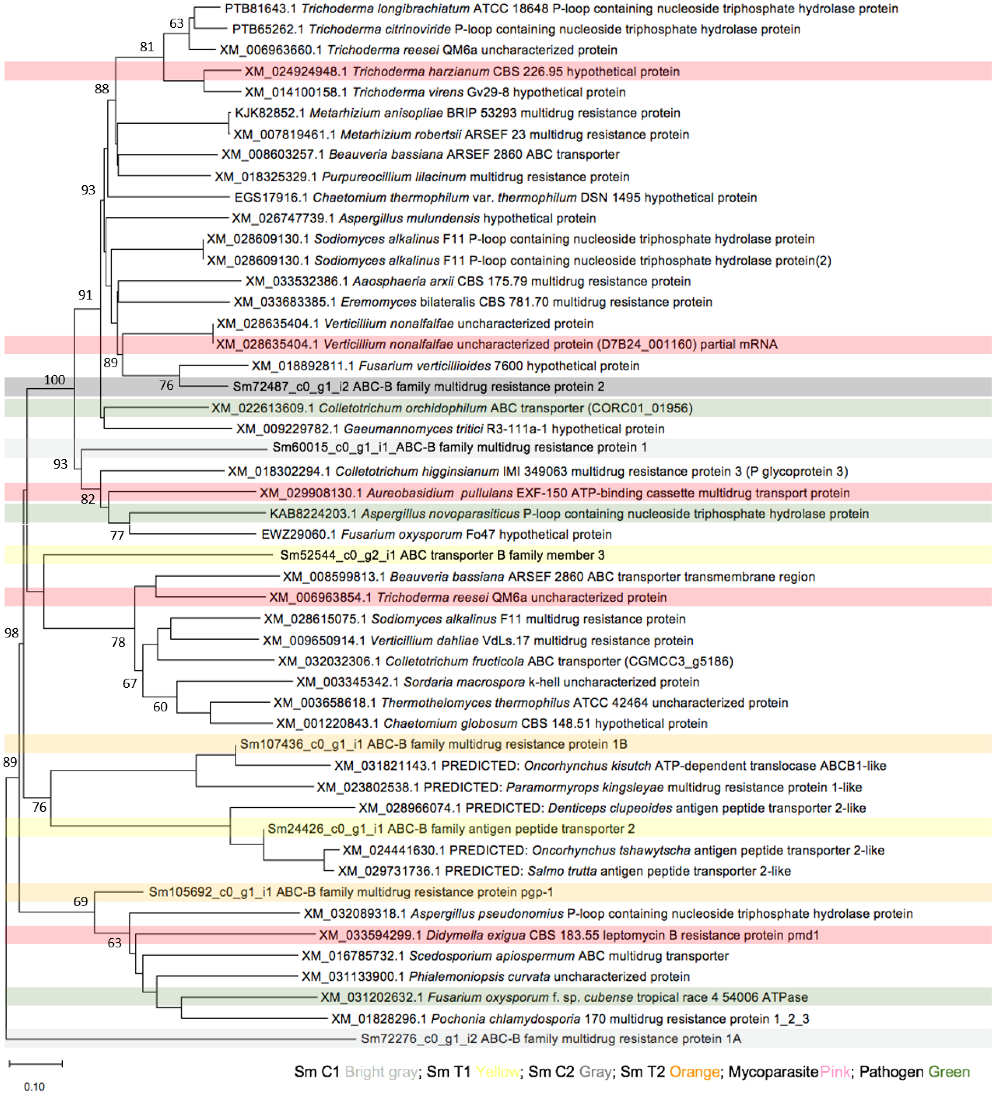 Applsci 12 07641 g005