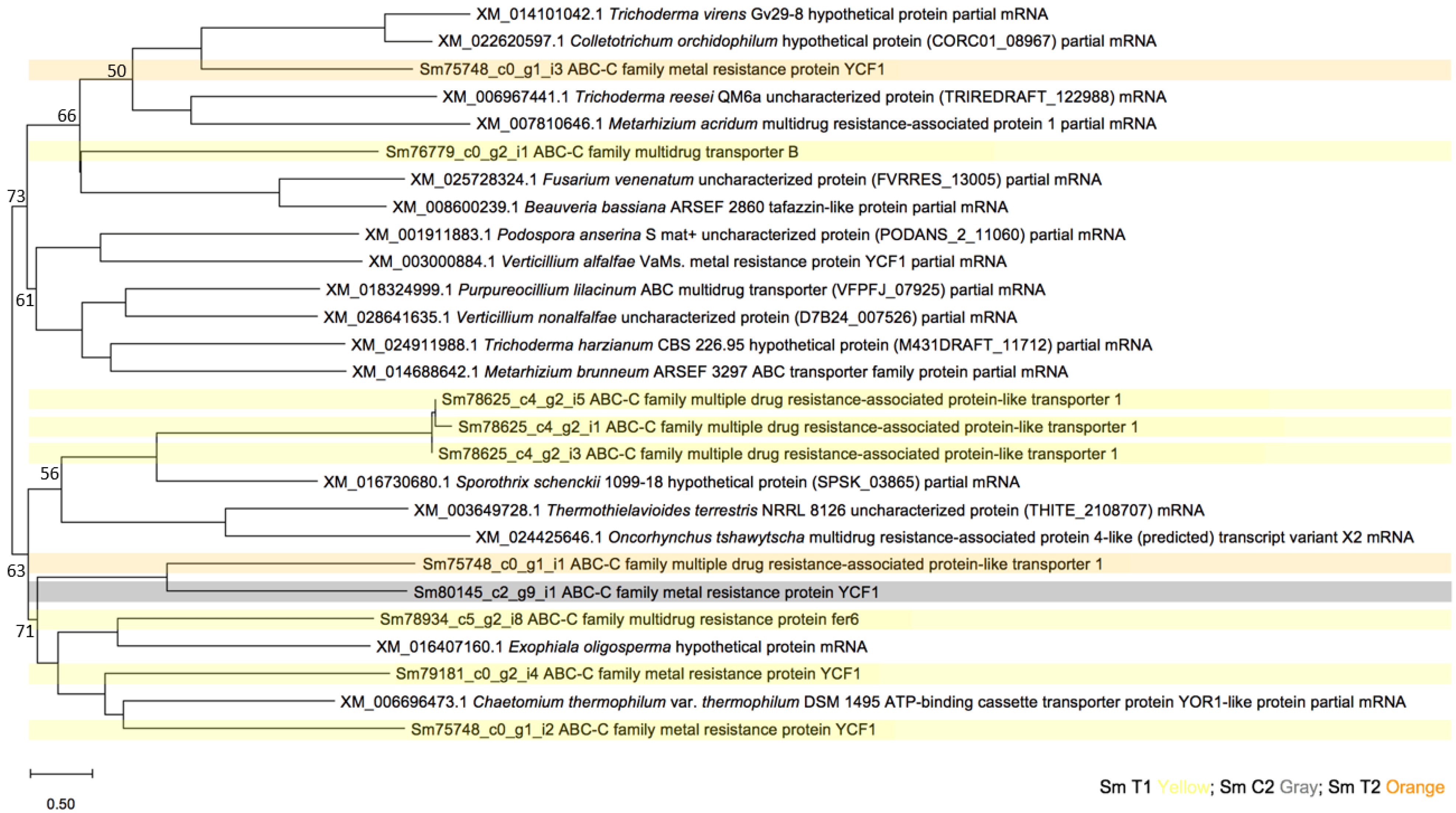 Applsci 12 07641 g006
