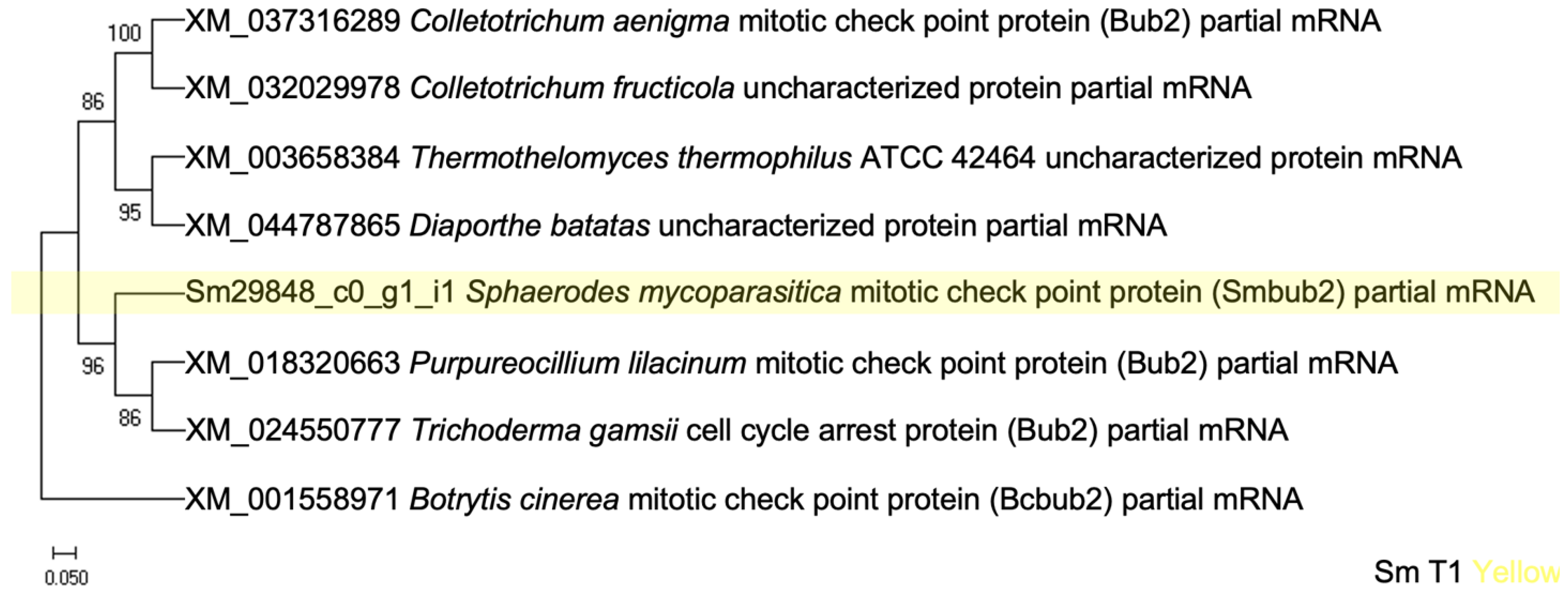 Applsci 12 07641 g010