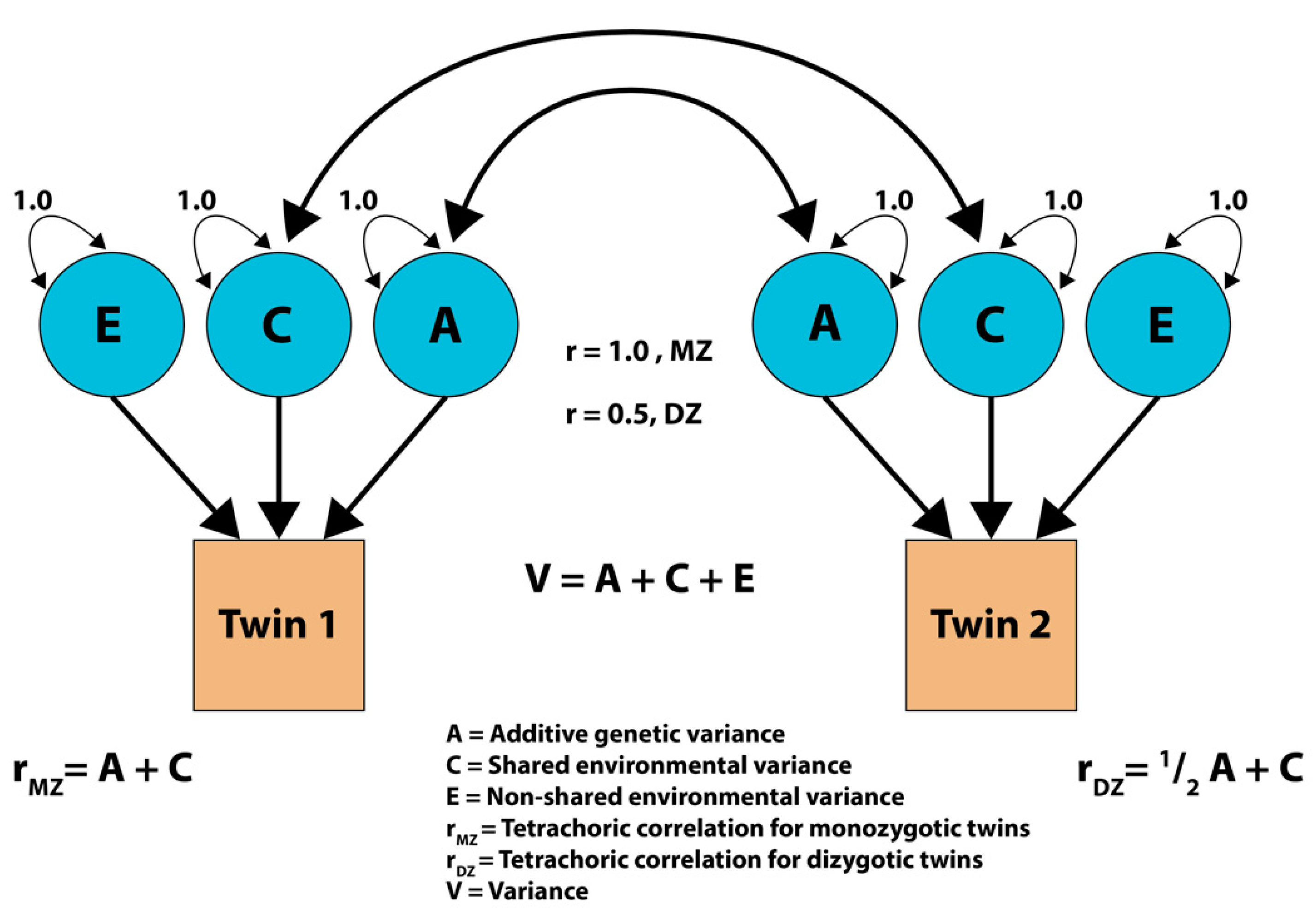 Applsci 12 07646 g006 Applsci 12 07646 g006