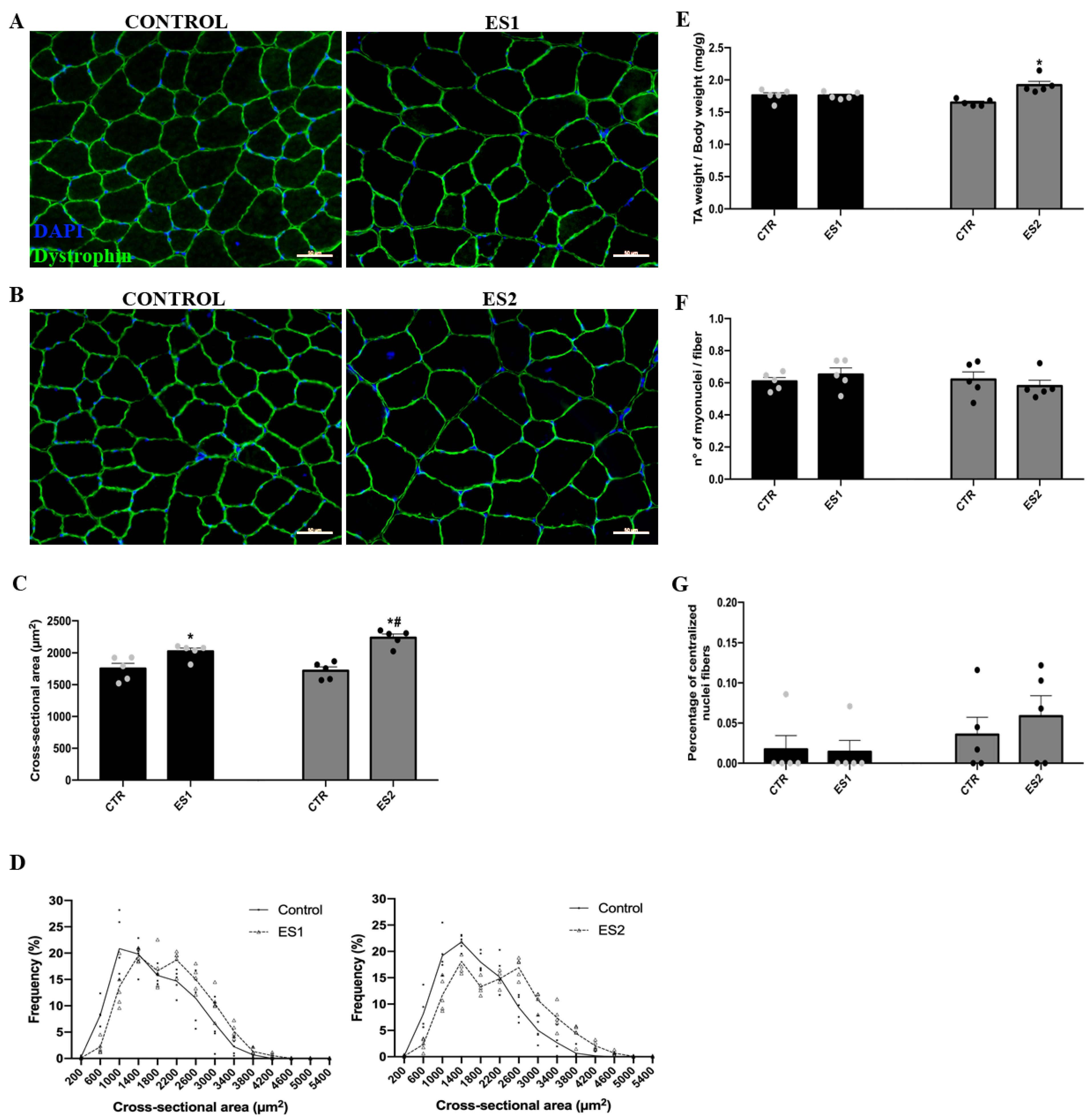 Applied Sciences Free FullText Improved Electrical Stimulation