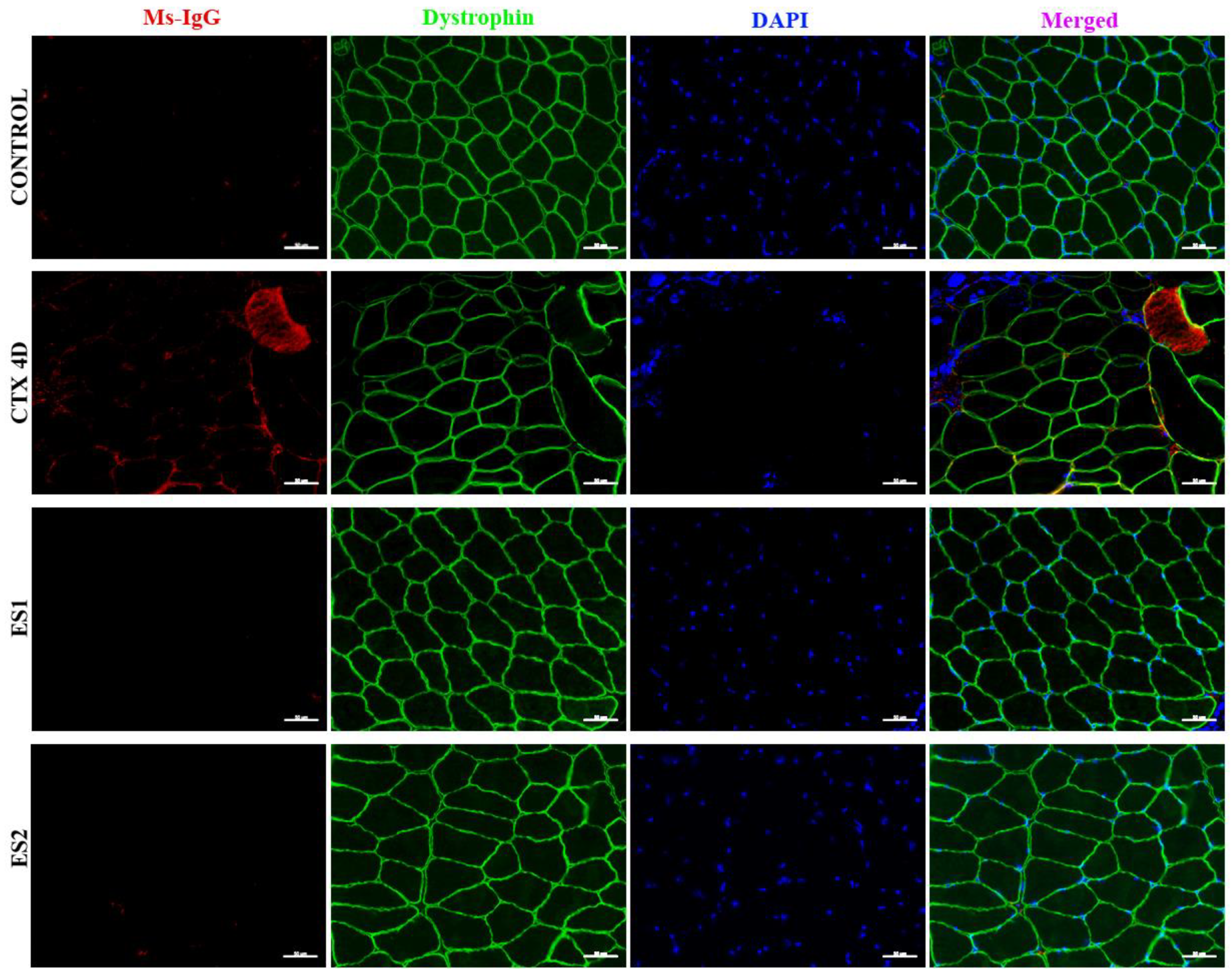 Applsci 12 07673 g002 550