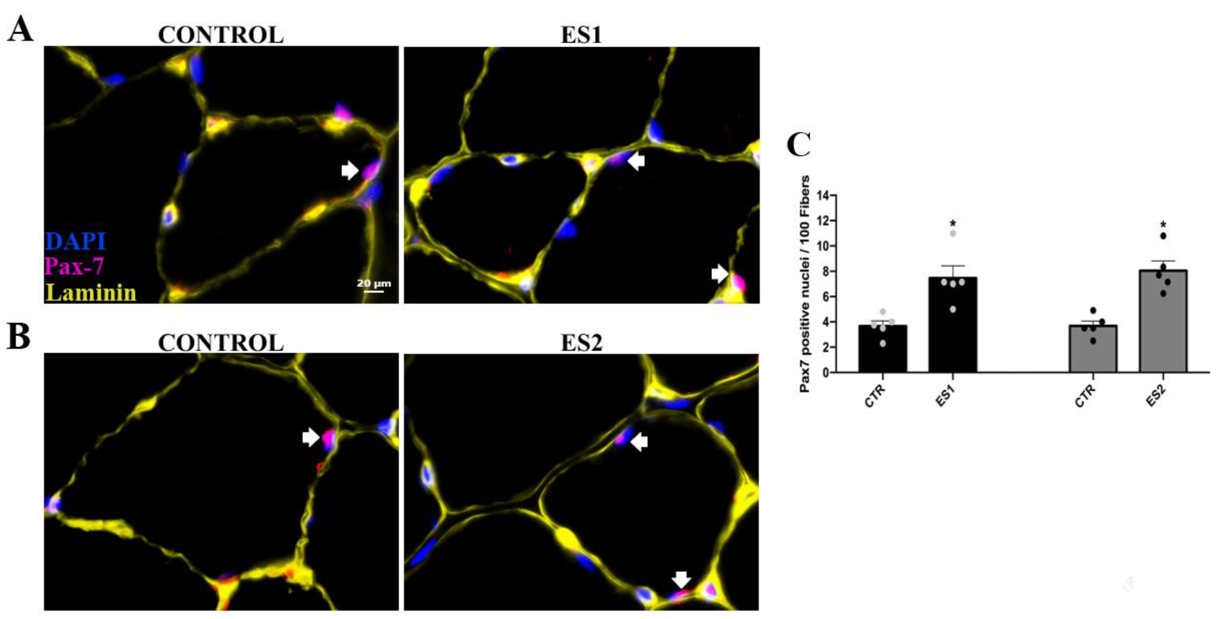 Applsci 12 07673 g004 550