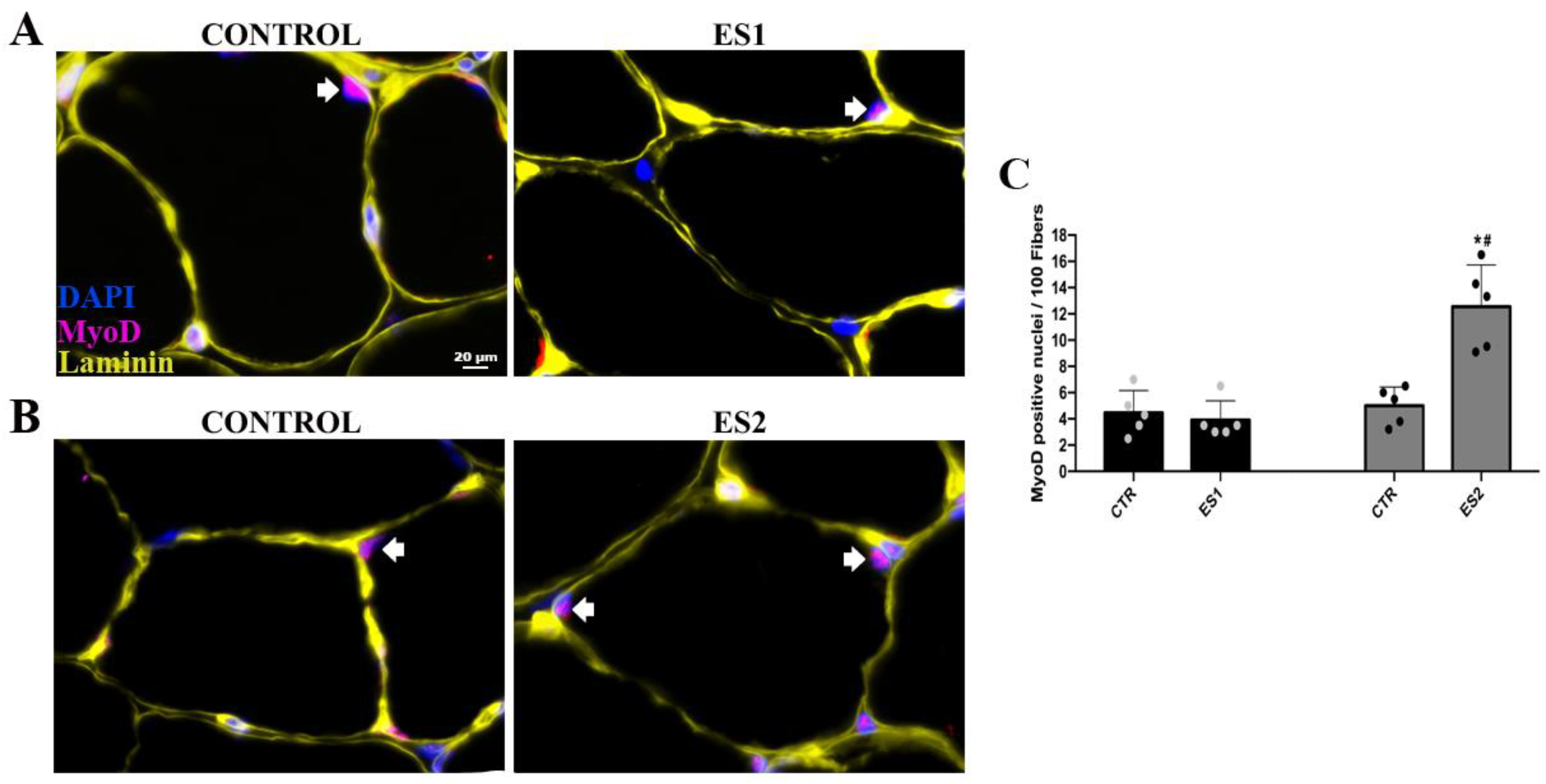 Applsci 12 07673 g005 550